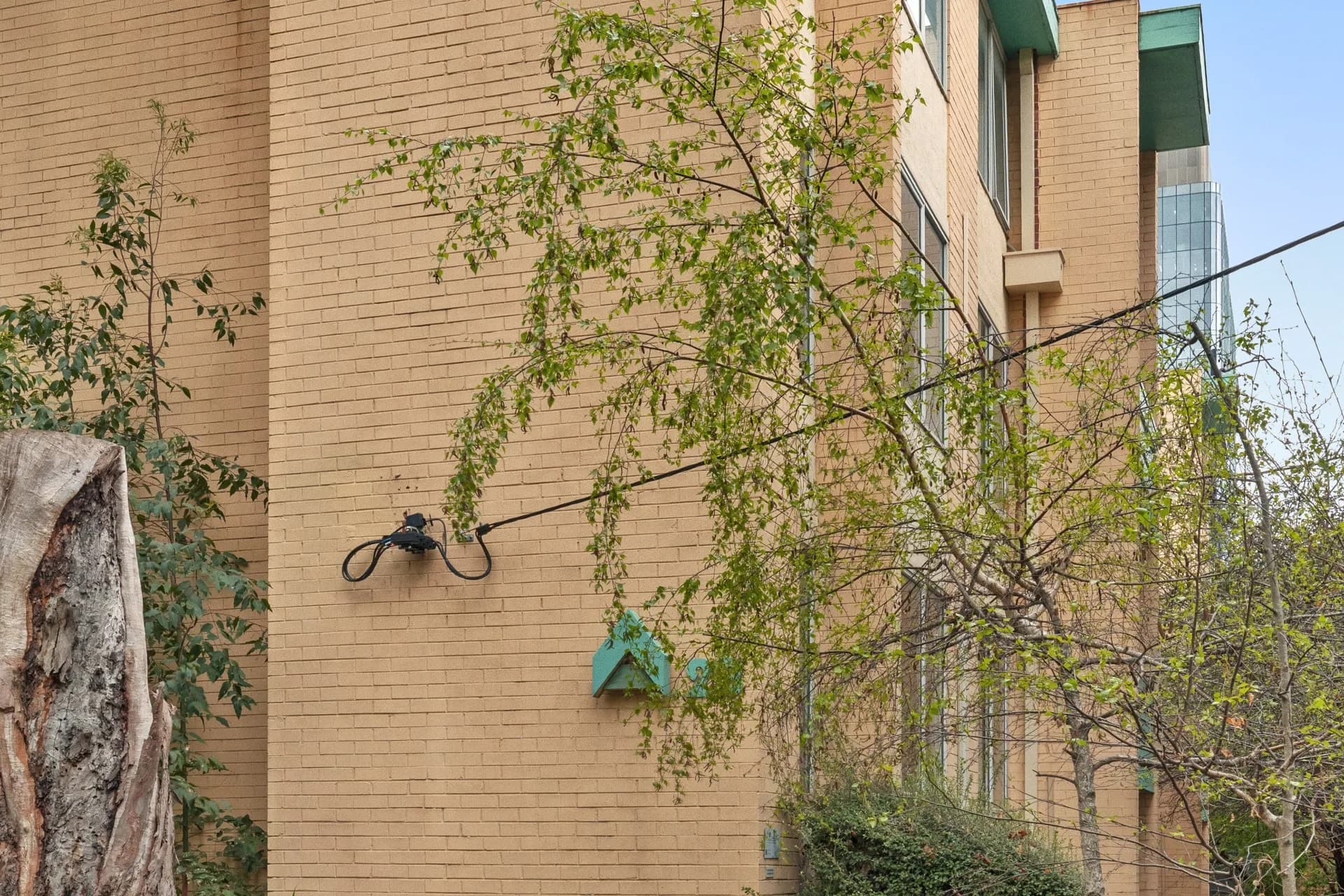 9/23 Tivoli Road, South Yarra - Thumbnail 5