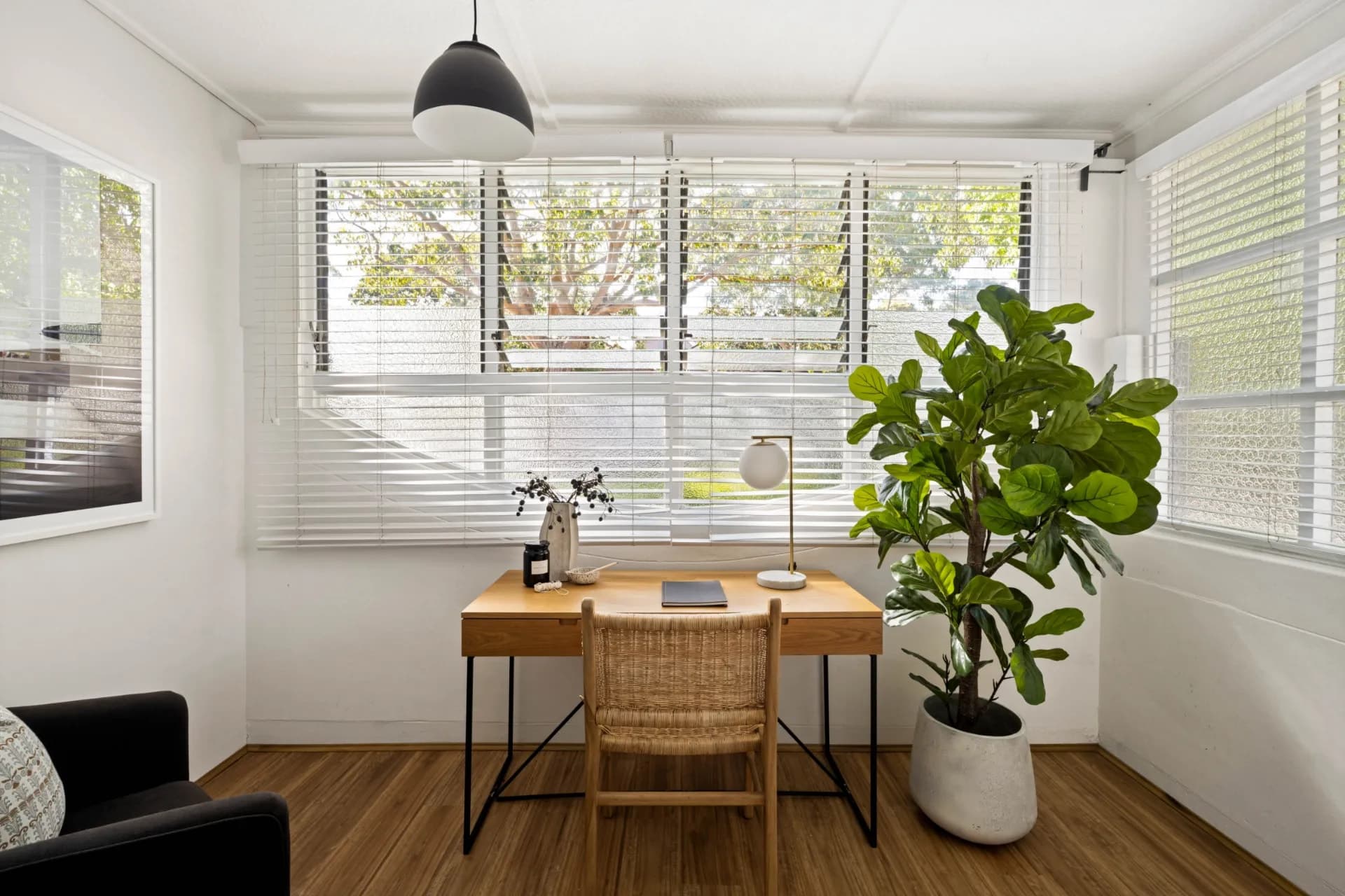 12 Crieff Street, Ashbury - Thumbnail 5
