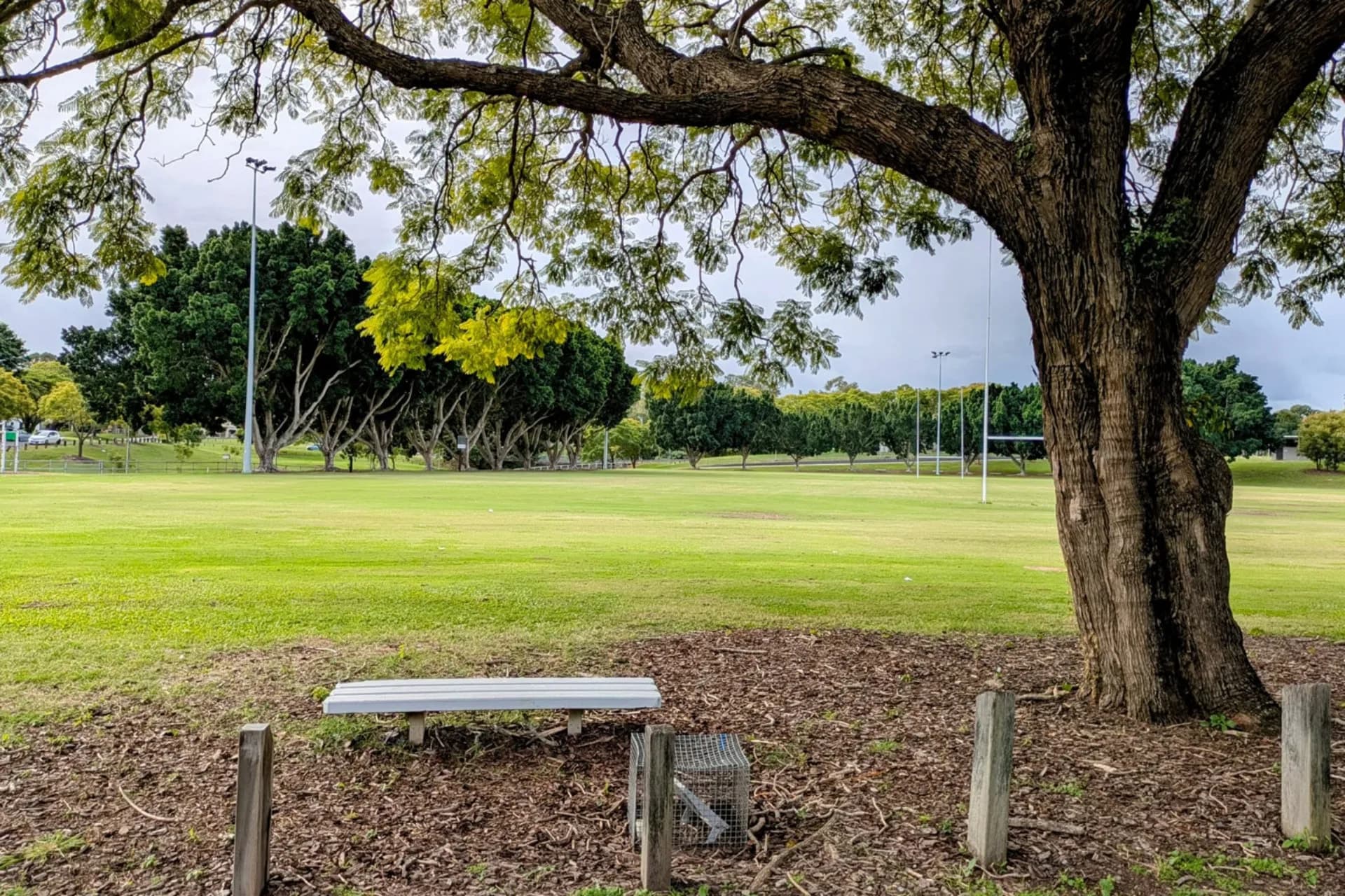116 Ishmael Road, Camira - Thumbnail 3