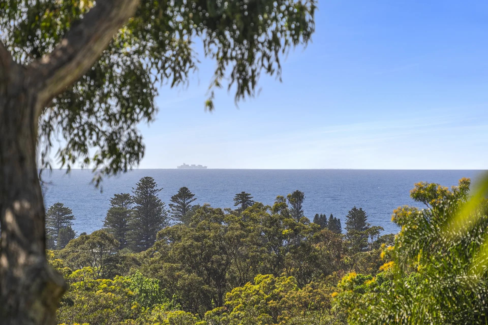 14A Trentwood Park, Avalon Beach., Avalon Beach - Thumbnail 4