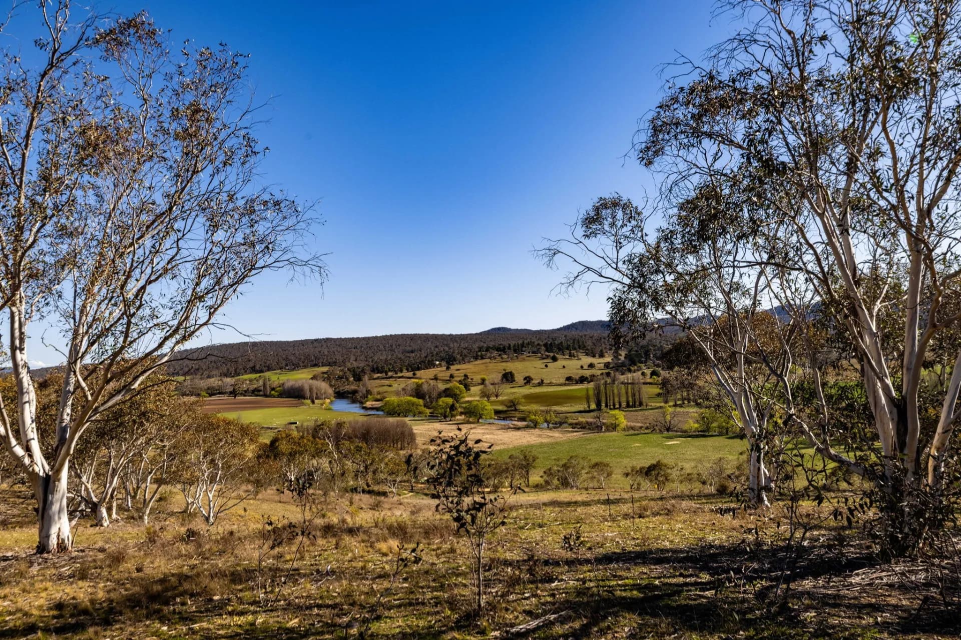 93 Warrens Corner Road, Cooma - Image 1