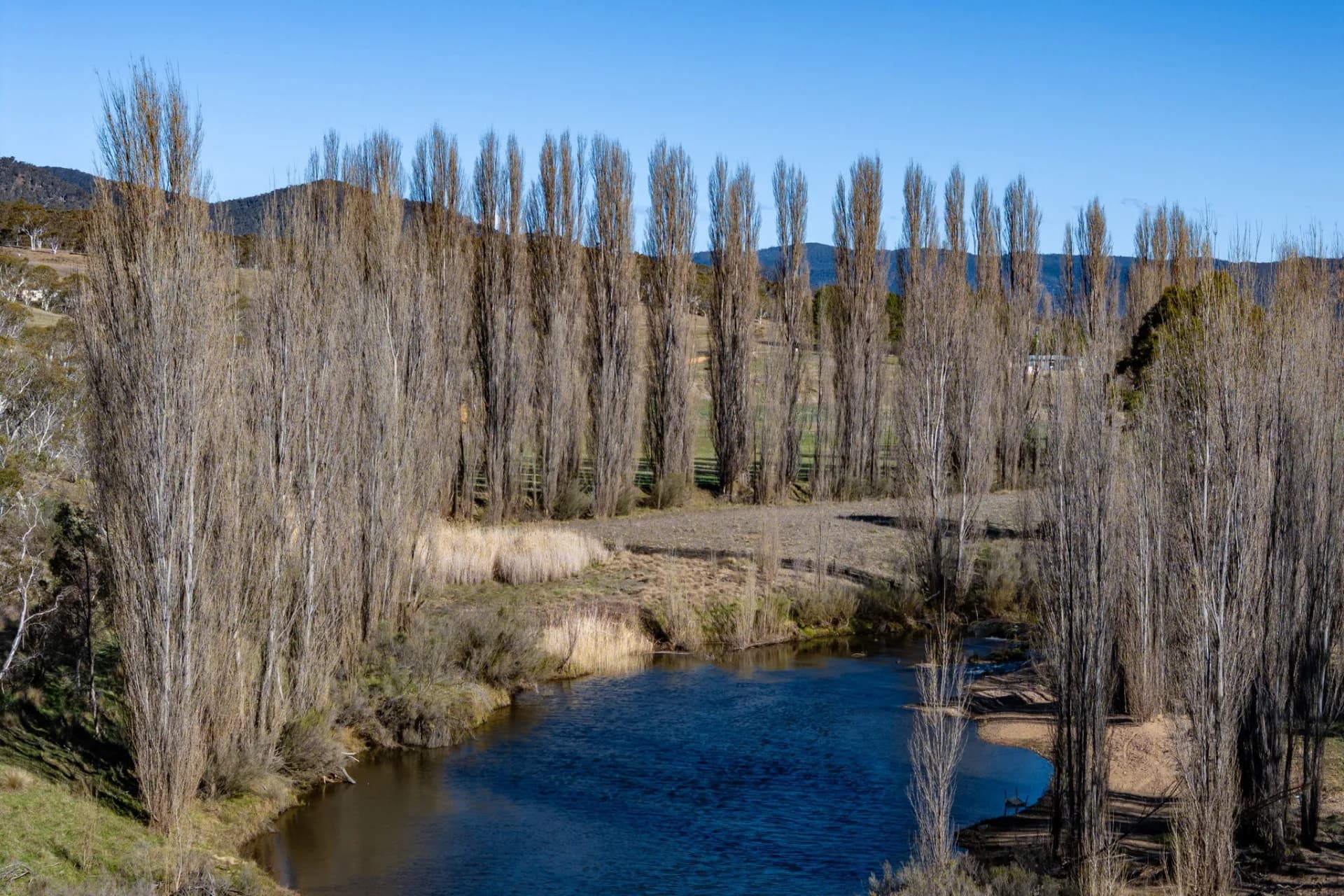 93 Warrens Corner Road, Cooma - Thumbnail 3
