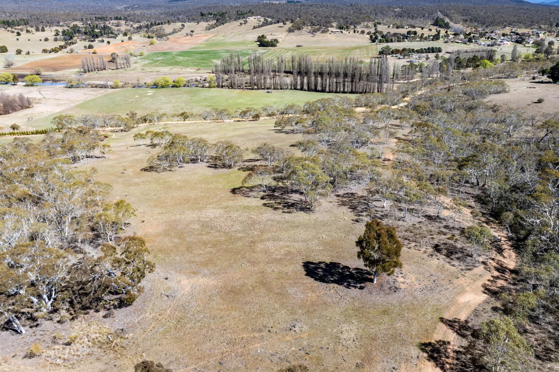 93 Warrens Corner Road, Cooma - Thumbnail 5