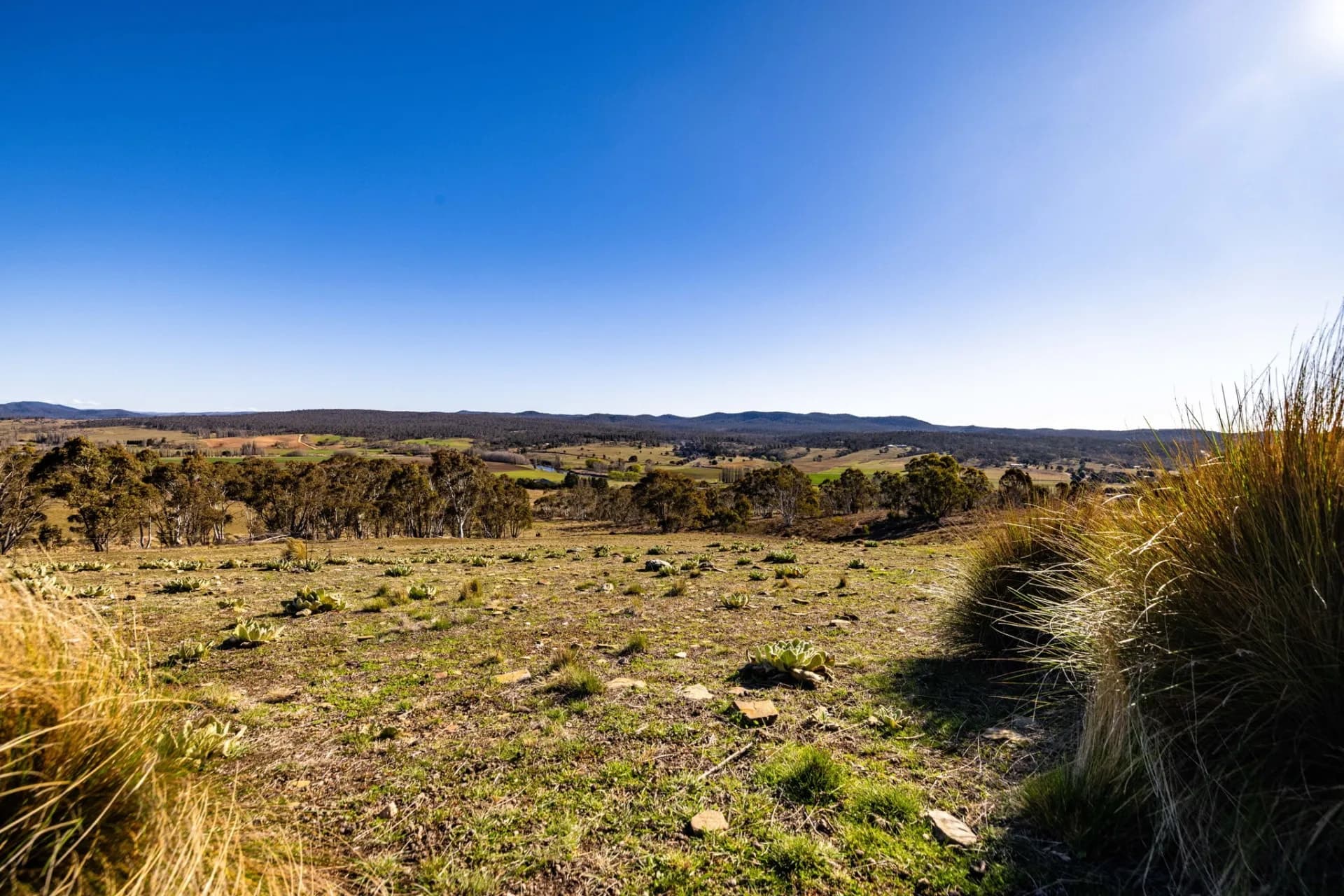 93 Warrens Corner Road, Cooma - Thumbnail 7