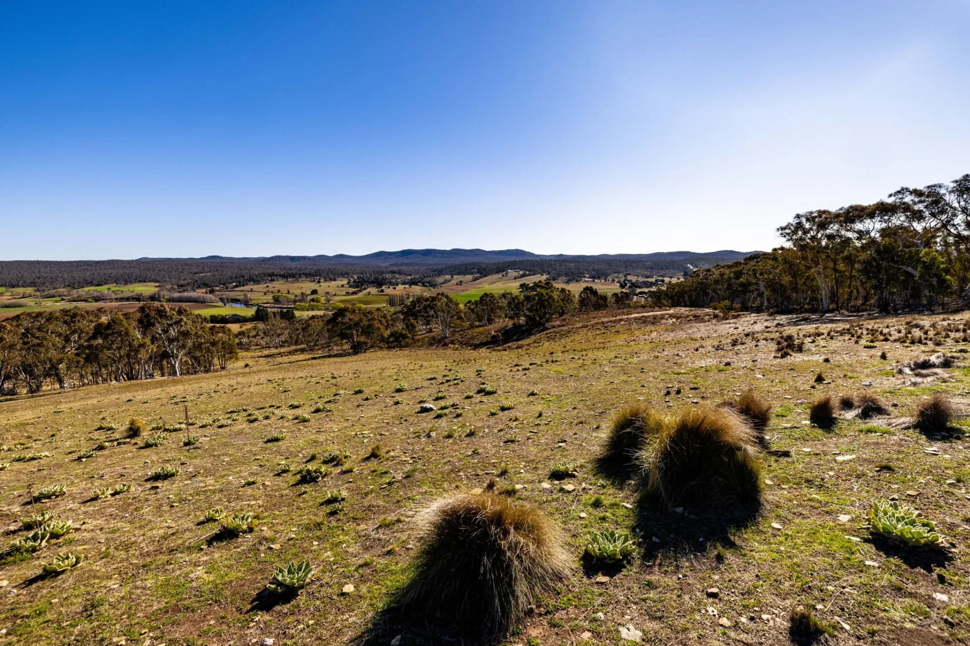 93 Warrens Corner Road, Cooma - Thumbnail 8