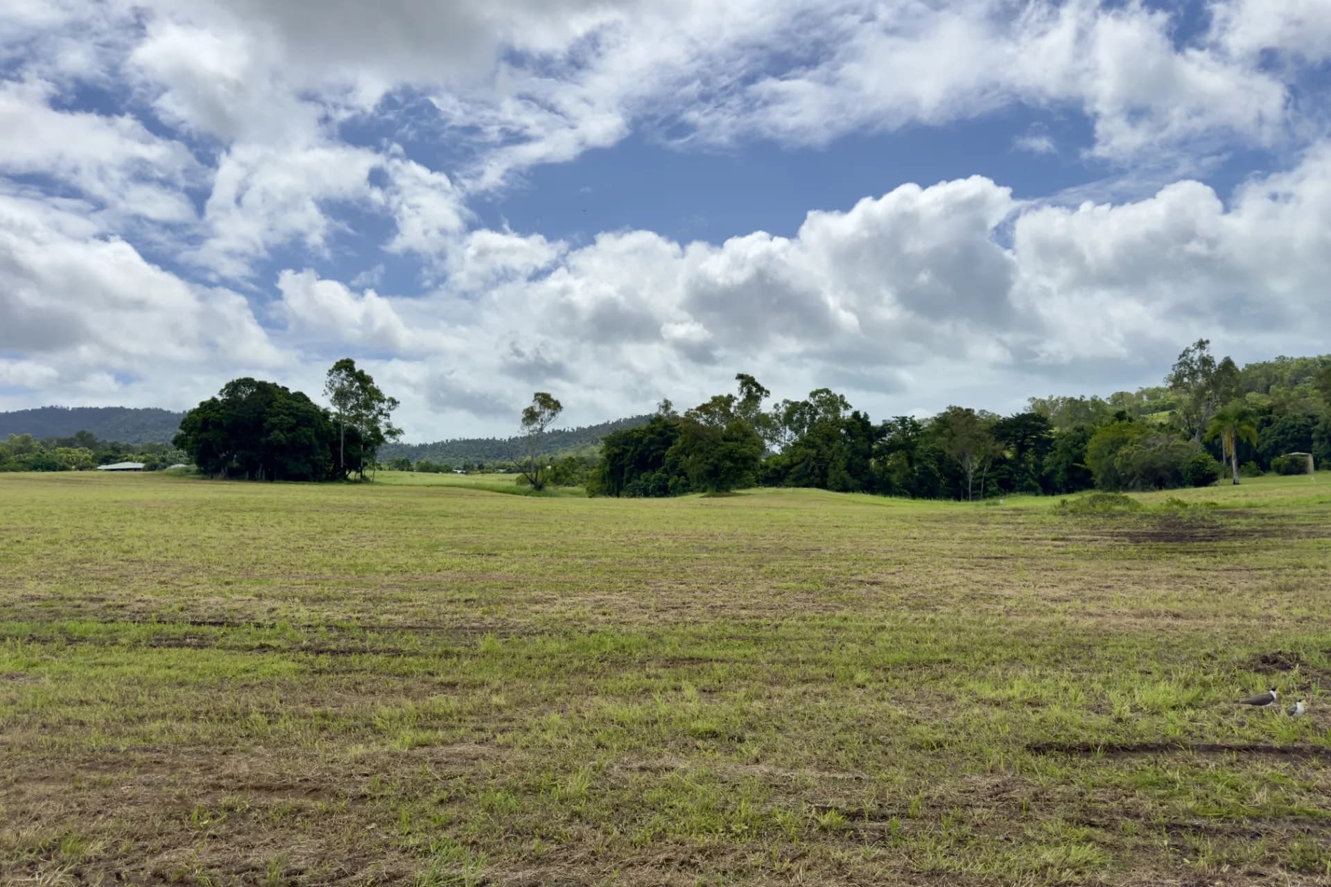 Lot 42, Springvale Way - Thumbnail 5