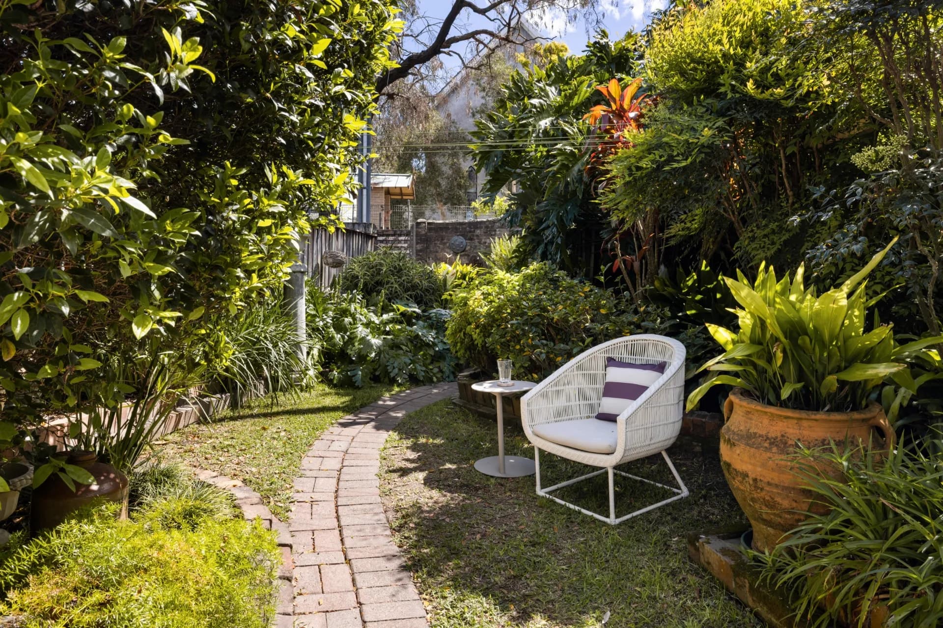 88 Catherine Street, Leichhardt - Thumbnail 8