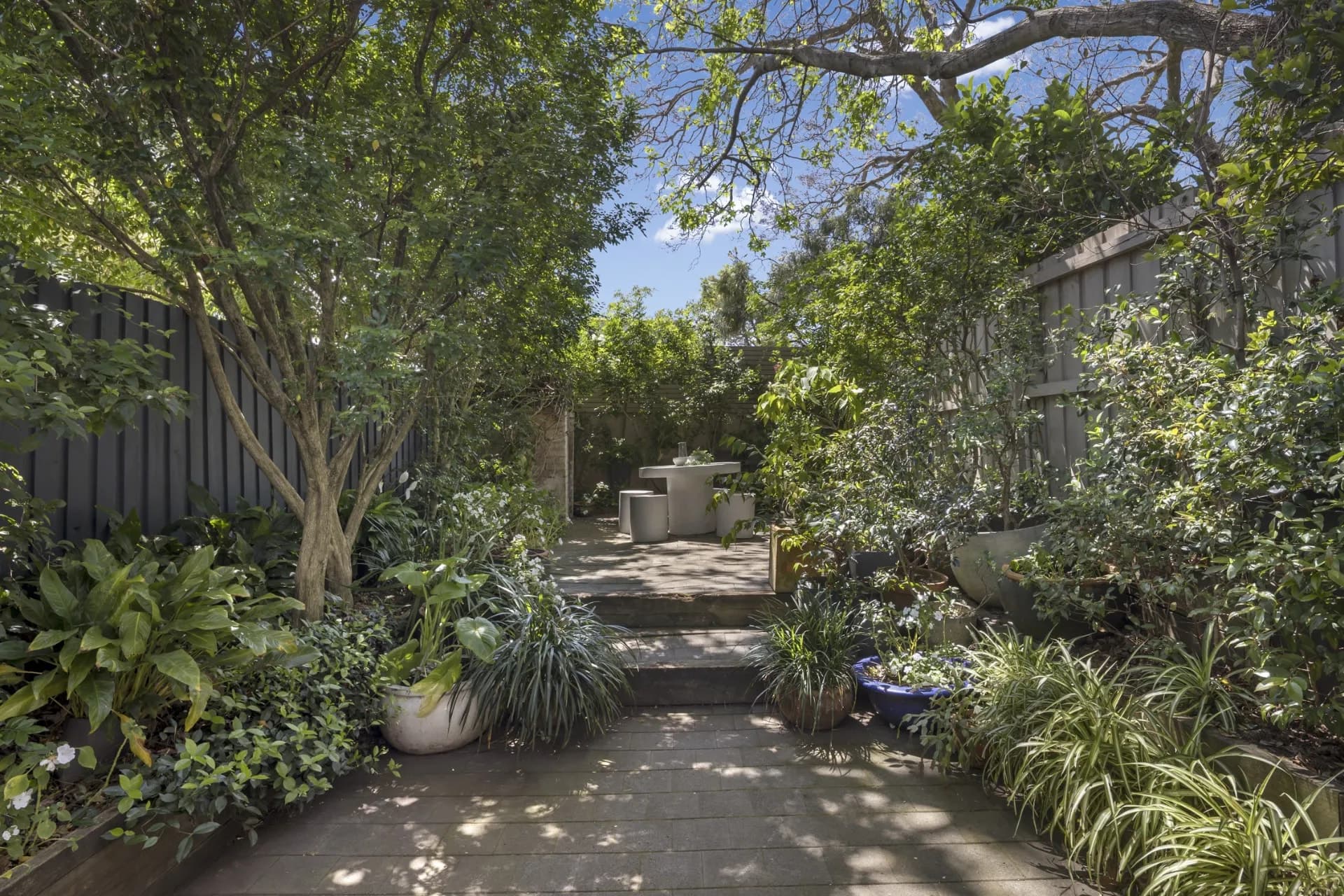 65 Merton Street, Rozelle - Thumbnail 4