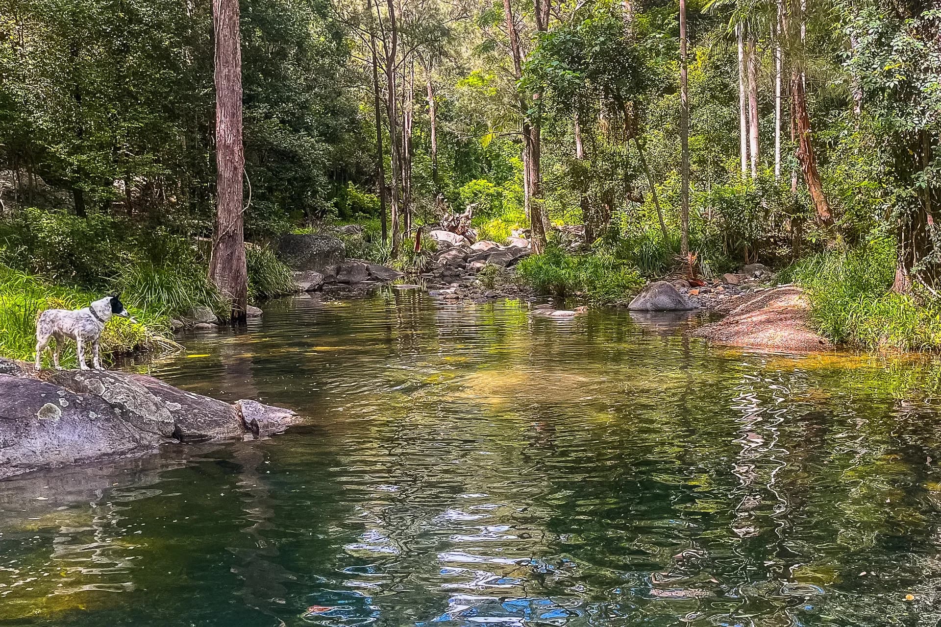 1007 Mount Glorious Road, Highvale., Highvale - Thumbnail 2