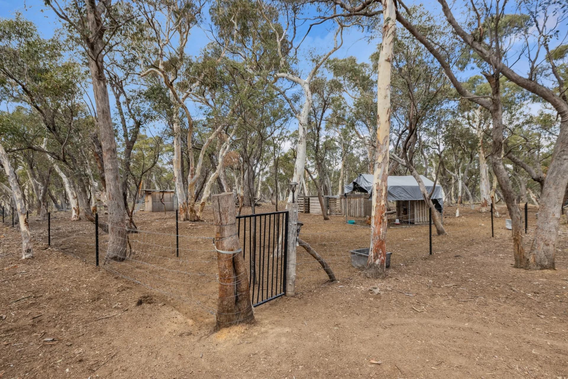 2100 Shannons Flat  Road, Cooma, NSW, Cooma - Thumbnail 5