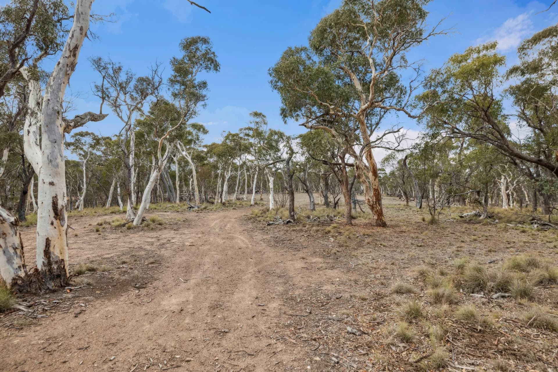 2100 Shannons Flat  Road, Cooma, NSW, Cooma - Thumbnail 6