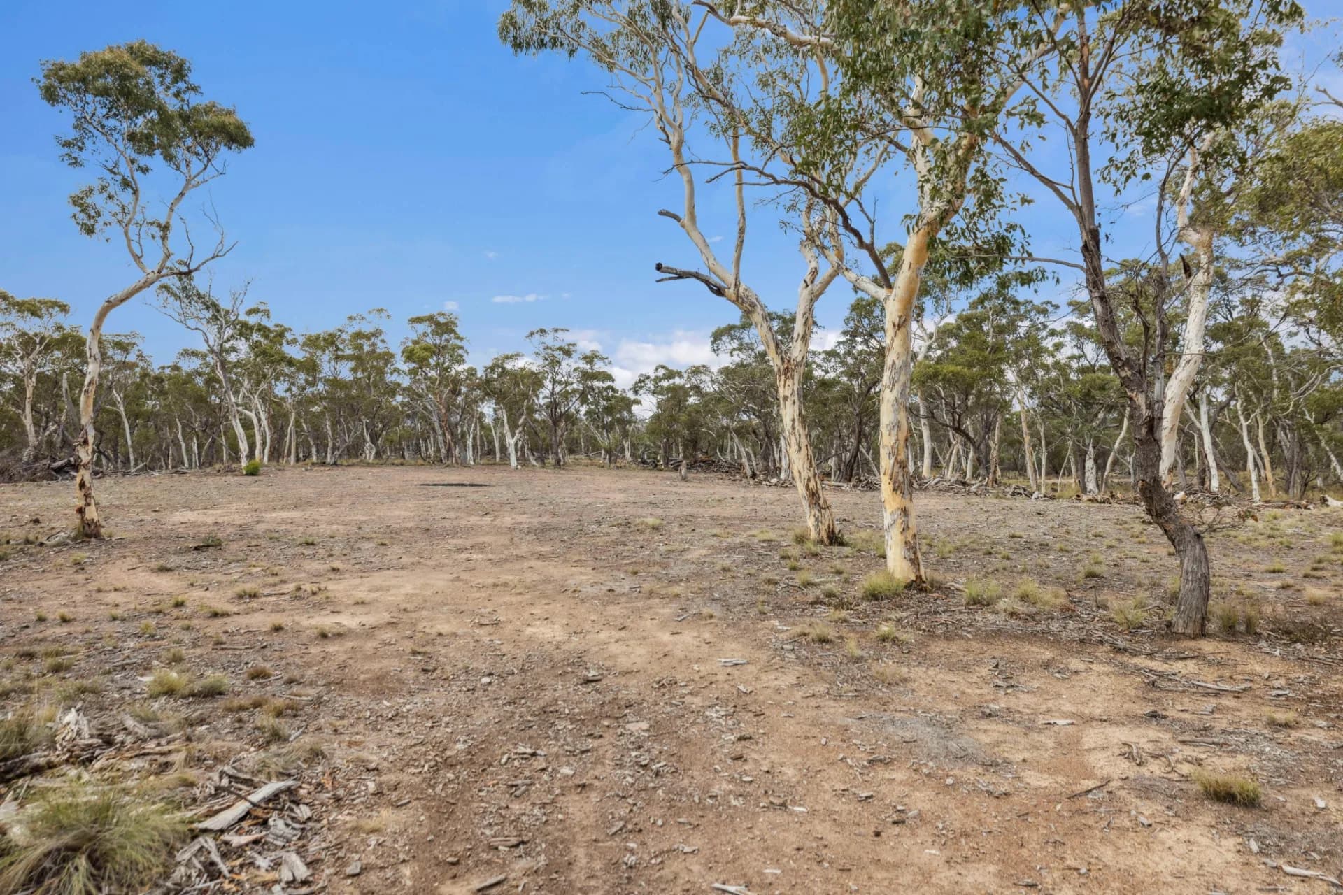 2100 Shannons Flat  Road, Cooma, NSW, Cooma - Thumbnail 7