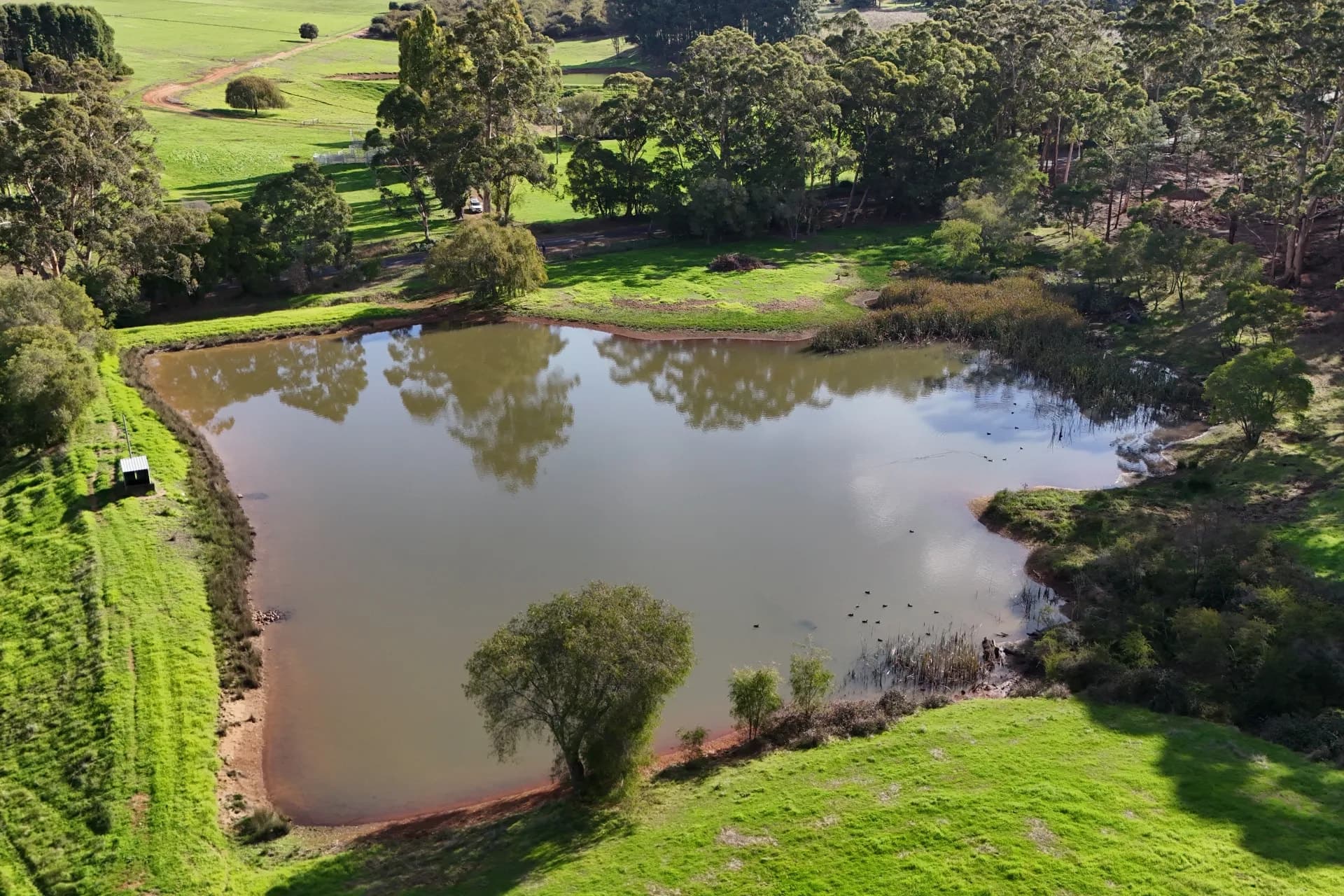 328 Middlesex Road (Middlesex), Manjimup - Thumbnail 4