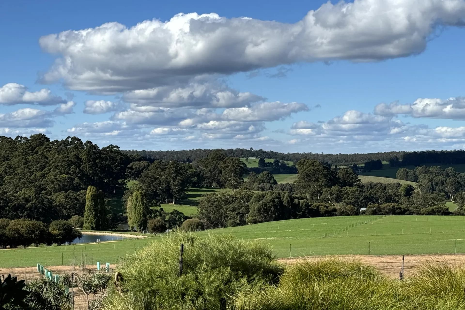 328 Middlesex Road (Middlesex), Manjimup - Thumbnail 5