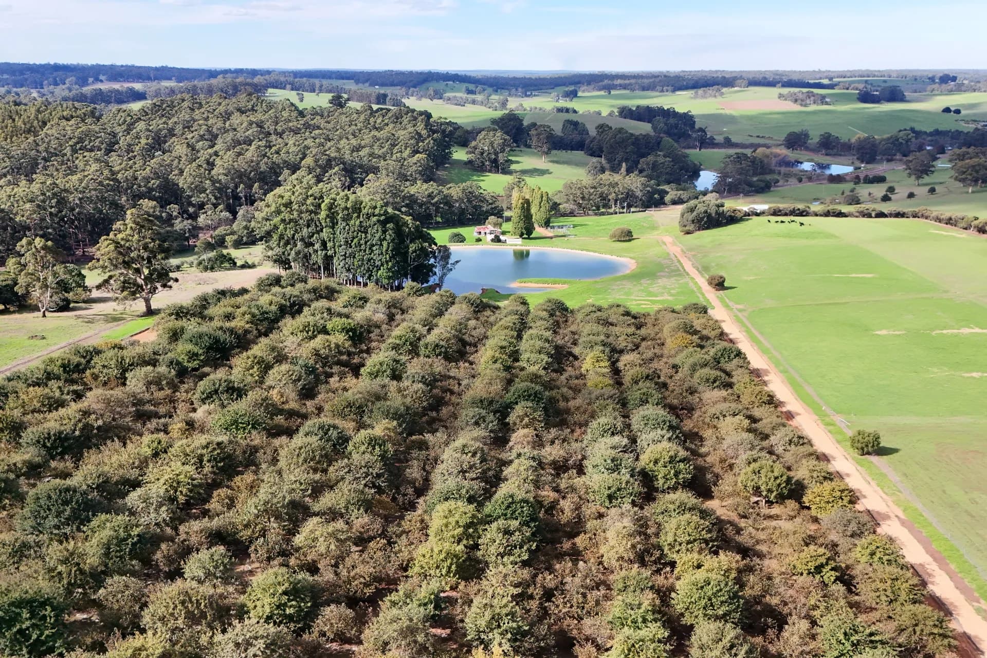 328 Middlesex Road (Middlesex), Manjimup - Thumbnail 7