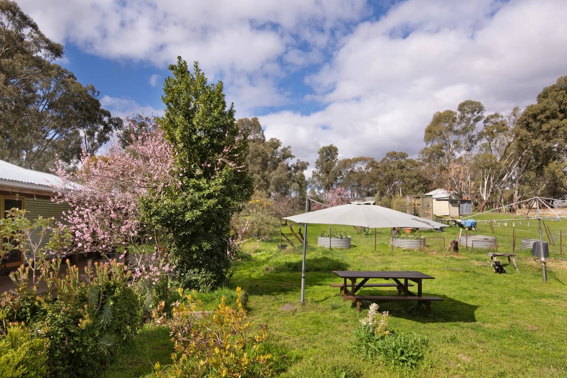 125 Castlemaine-Maldon  Road, Muckleford., Muckleford - Thumbnail 3