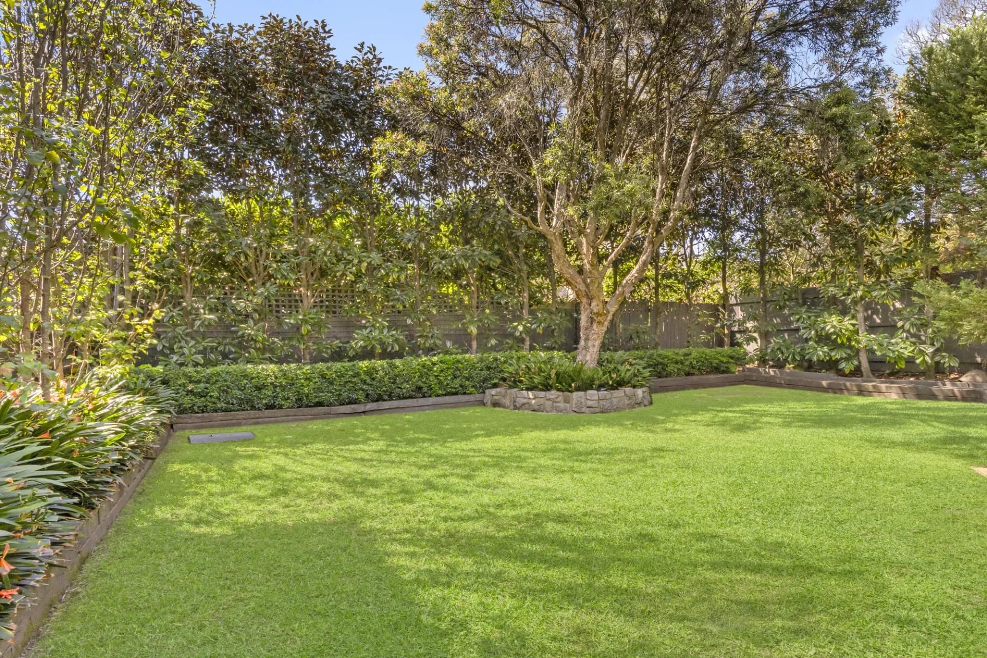 7 Arkland Street, Cammeray - Thumbnail 5
