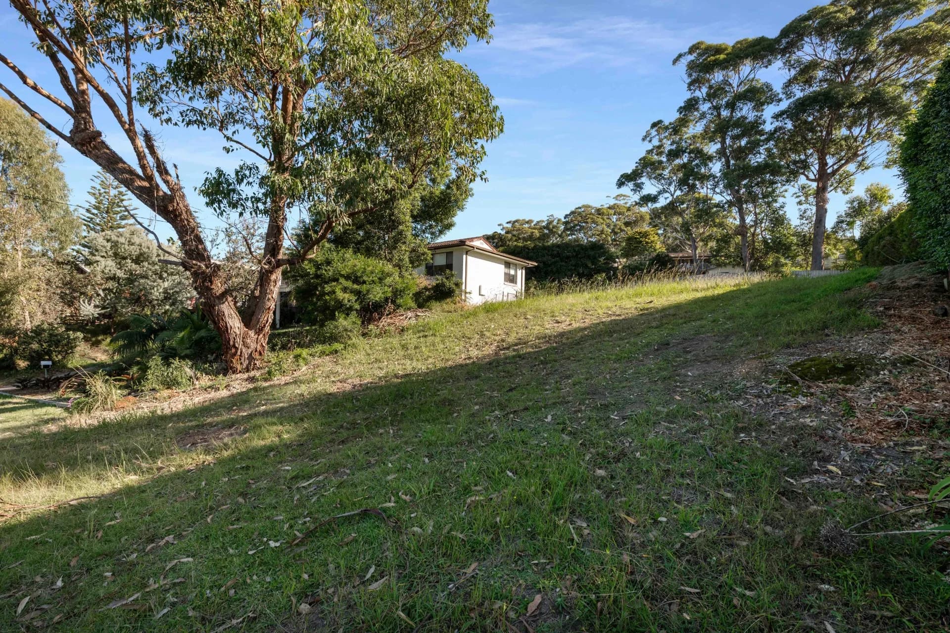 33 Tallwood Avenue, Mollymook Beach., Henley Beach - Thumbnail 8