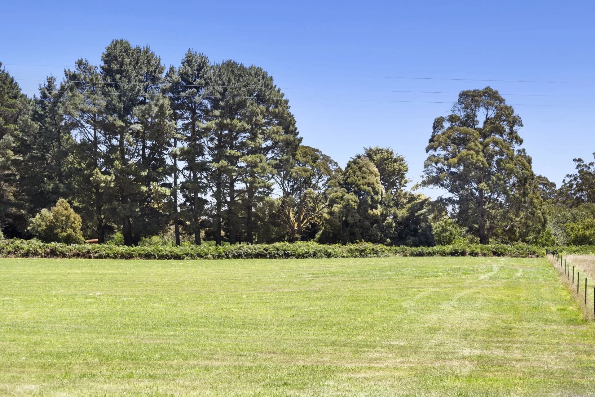 11 Peukers Lane, Lyonville, Lyonville - Thumbnail 5