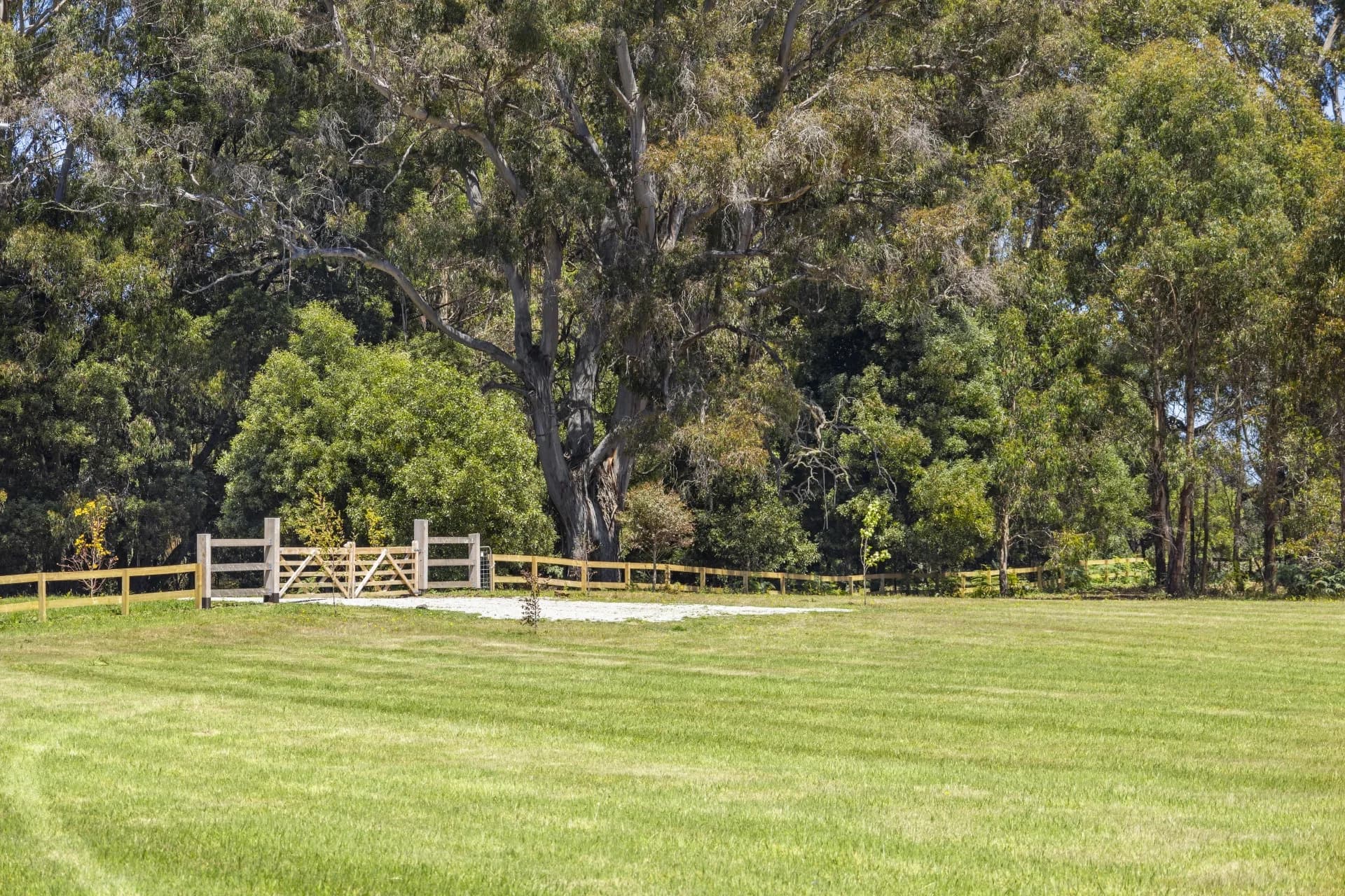 11 Peukers Lane, Lyonville, Lyonville - Thumbnail 8