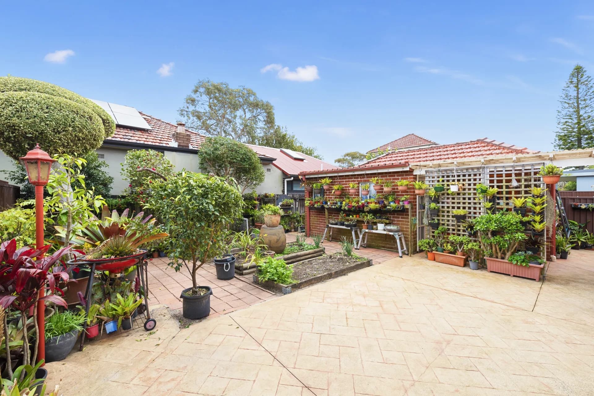 390 Avoca Street, Kingsford., Kingsford - Thumbnail 3