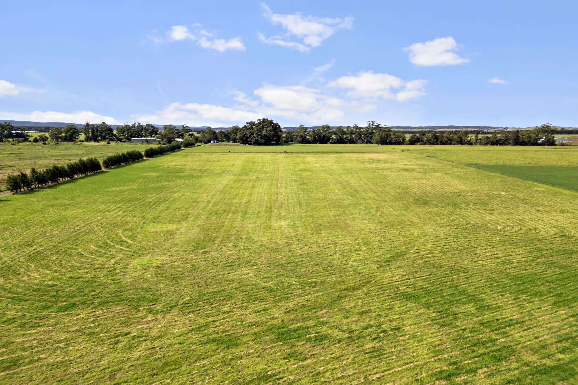 78 Morris Road, Phoenix Park., Caulfield North - Thumbnail 6