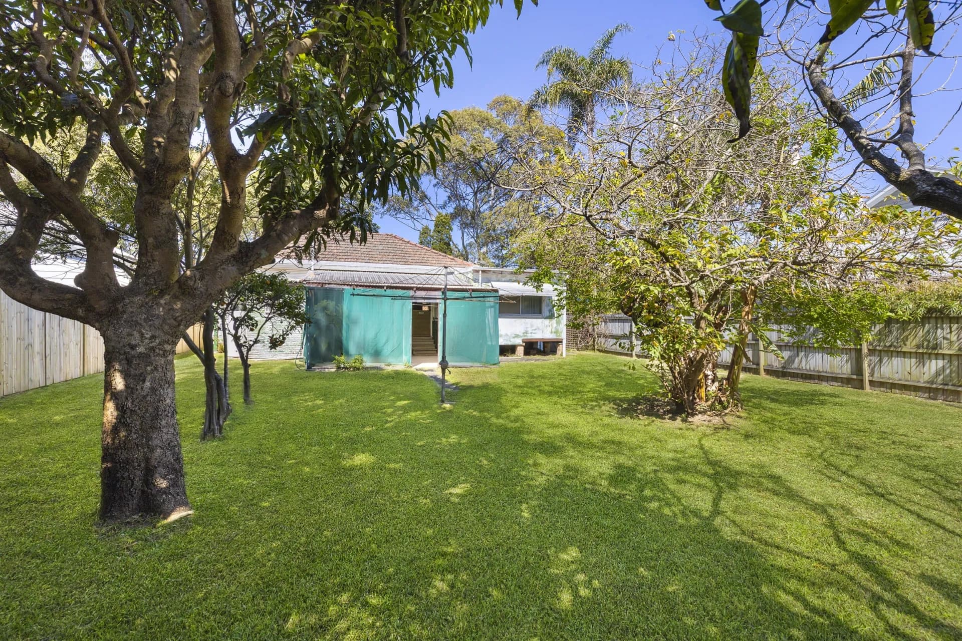 52 Amourin Street, North Manly - Thumbnail 4