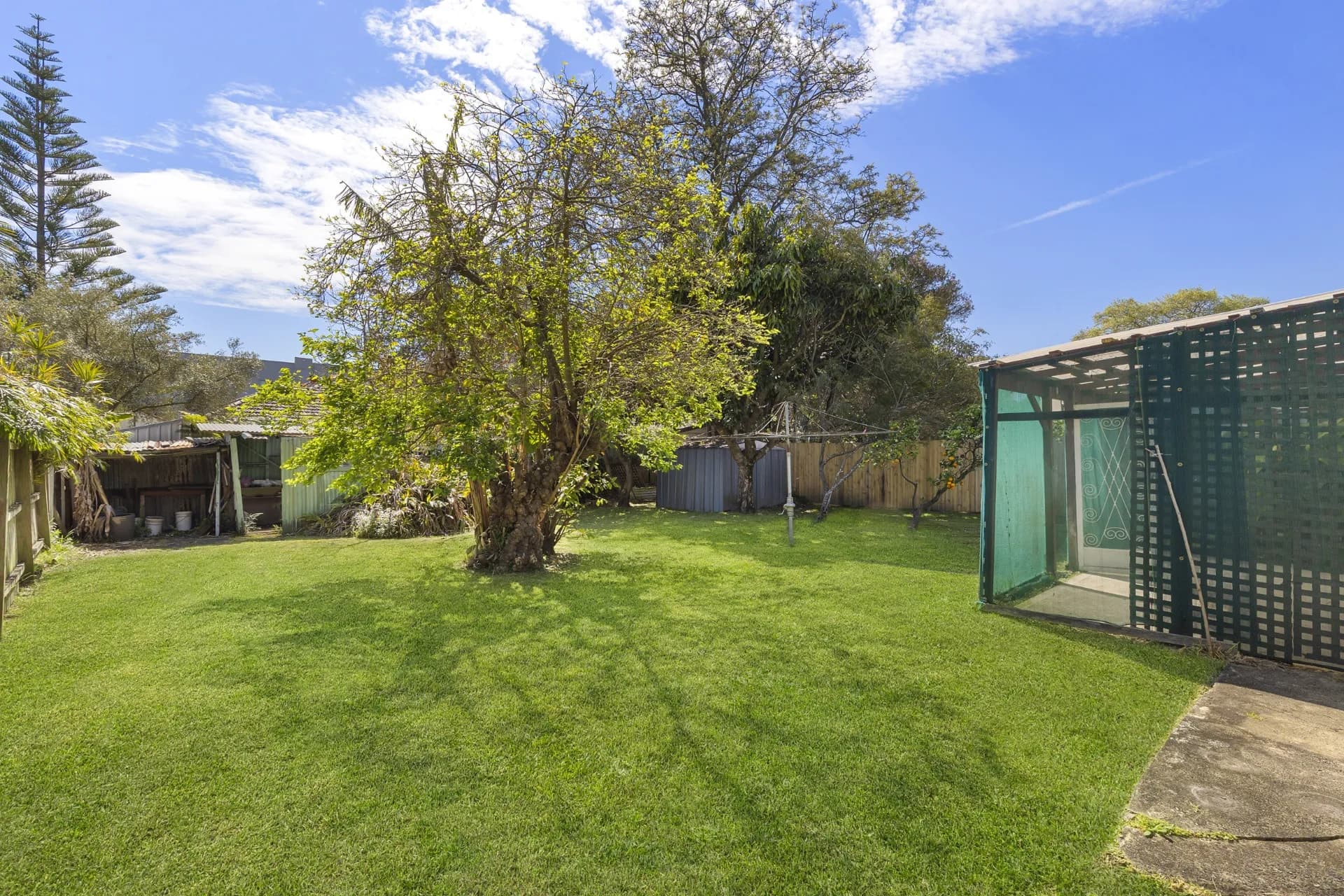 52 Amourin Street, North Manly - Thumbnail 6