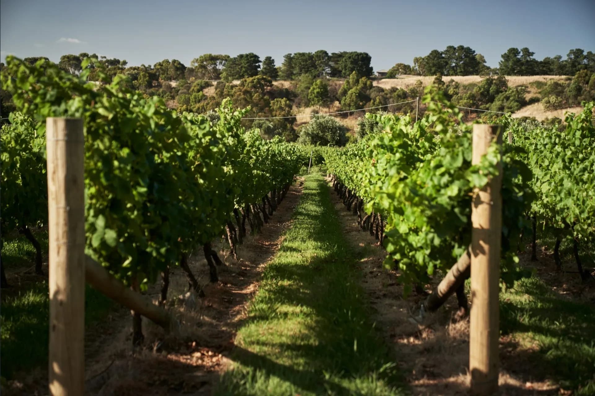 Lot 548, 24 Spinosa Road, Sunbury, VIC, Sunbury, - Thumbnail 4