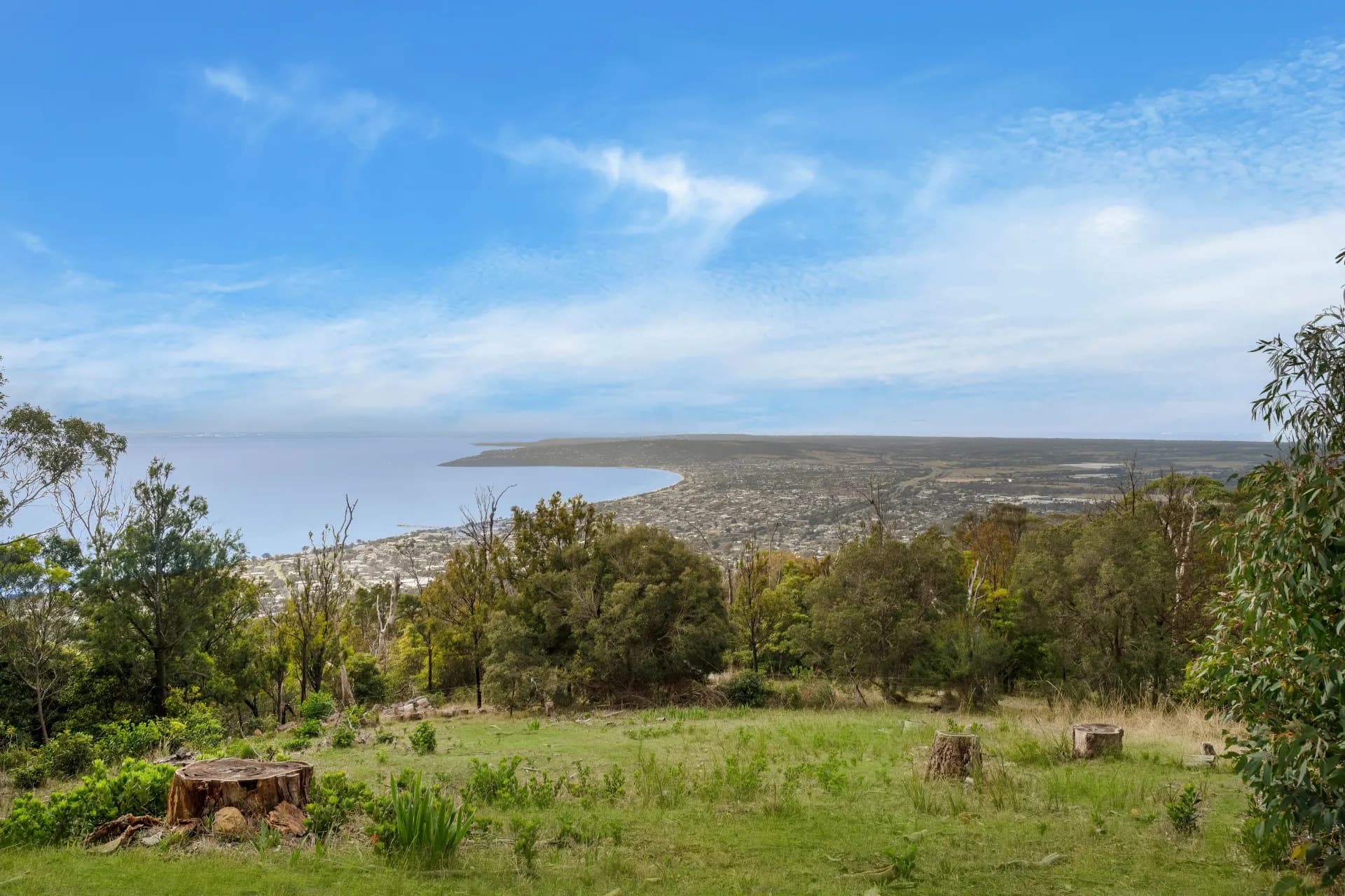 14 Nestle Court, Arthurs Seat., Arthurs Seat - Thumbnail 7