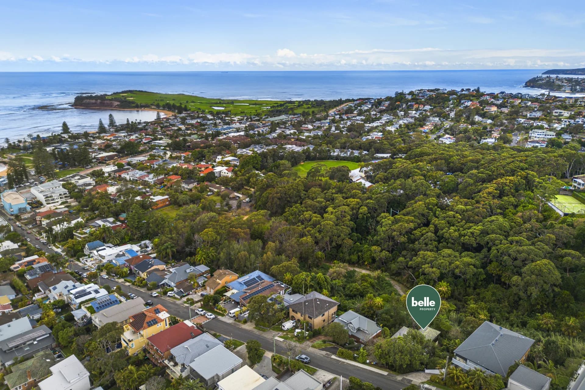 58 Alexander Street, Collaroy., Collaroy - Thumbnail 4