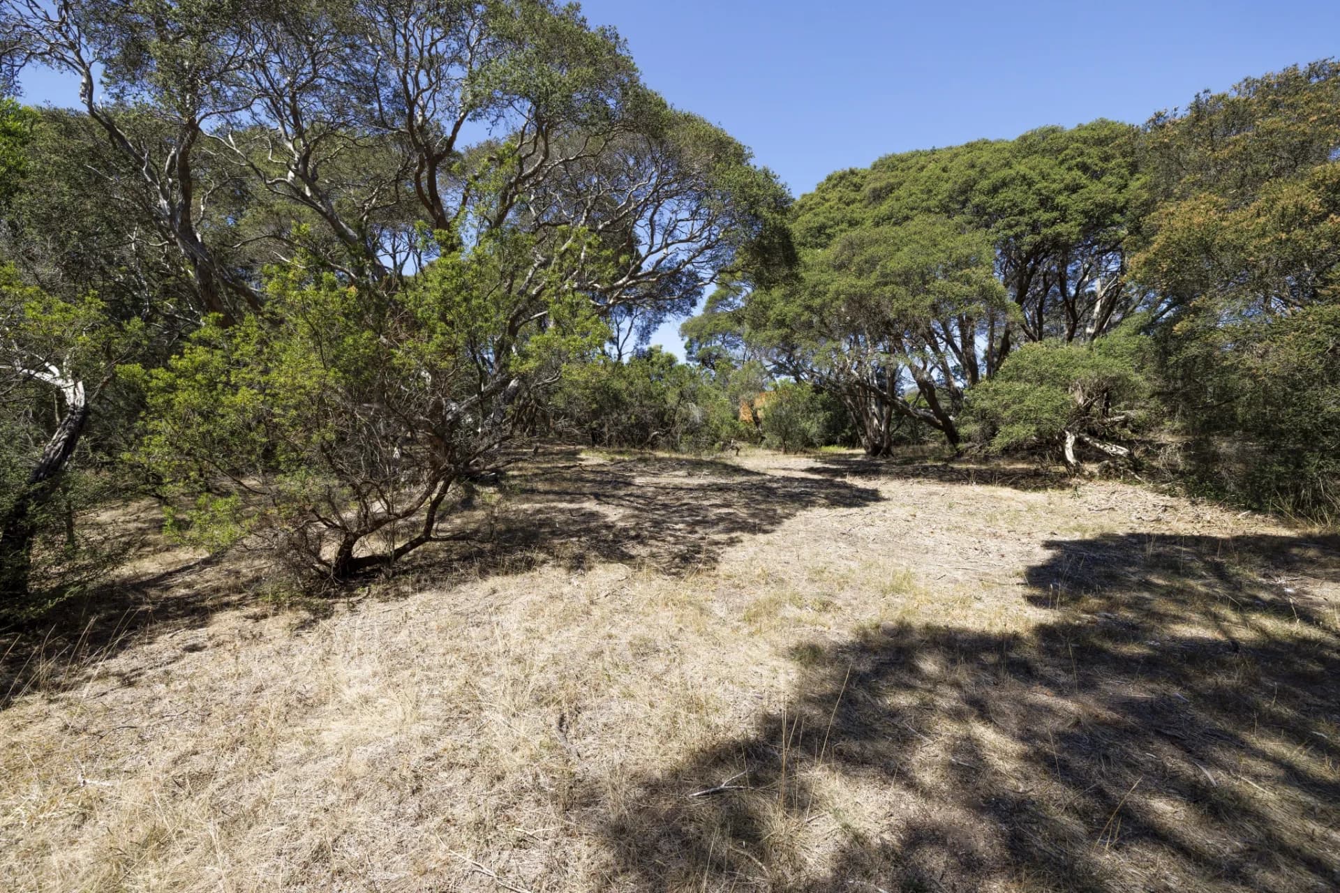 15 Pasadena  Street, Rye., Coorparoo - Thumbnail 6