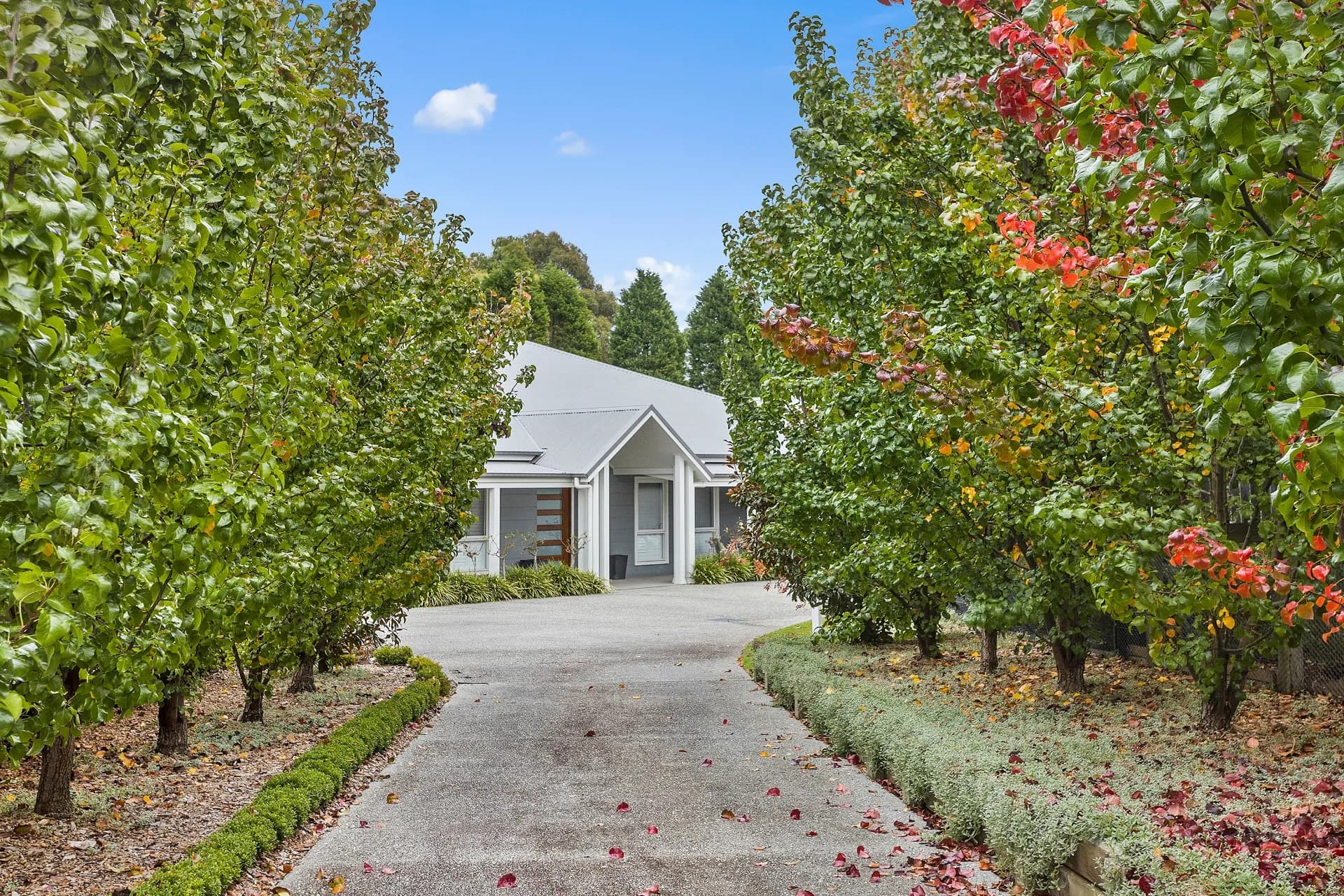 12 Caroline Avenue, Bowral., Bowral - Thumbnail 2