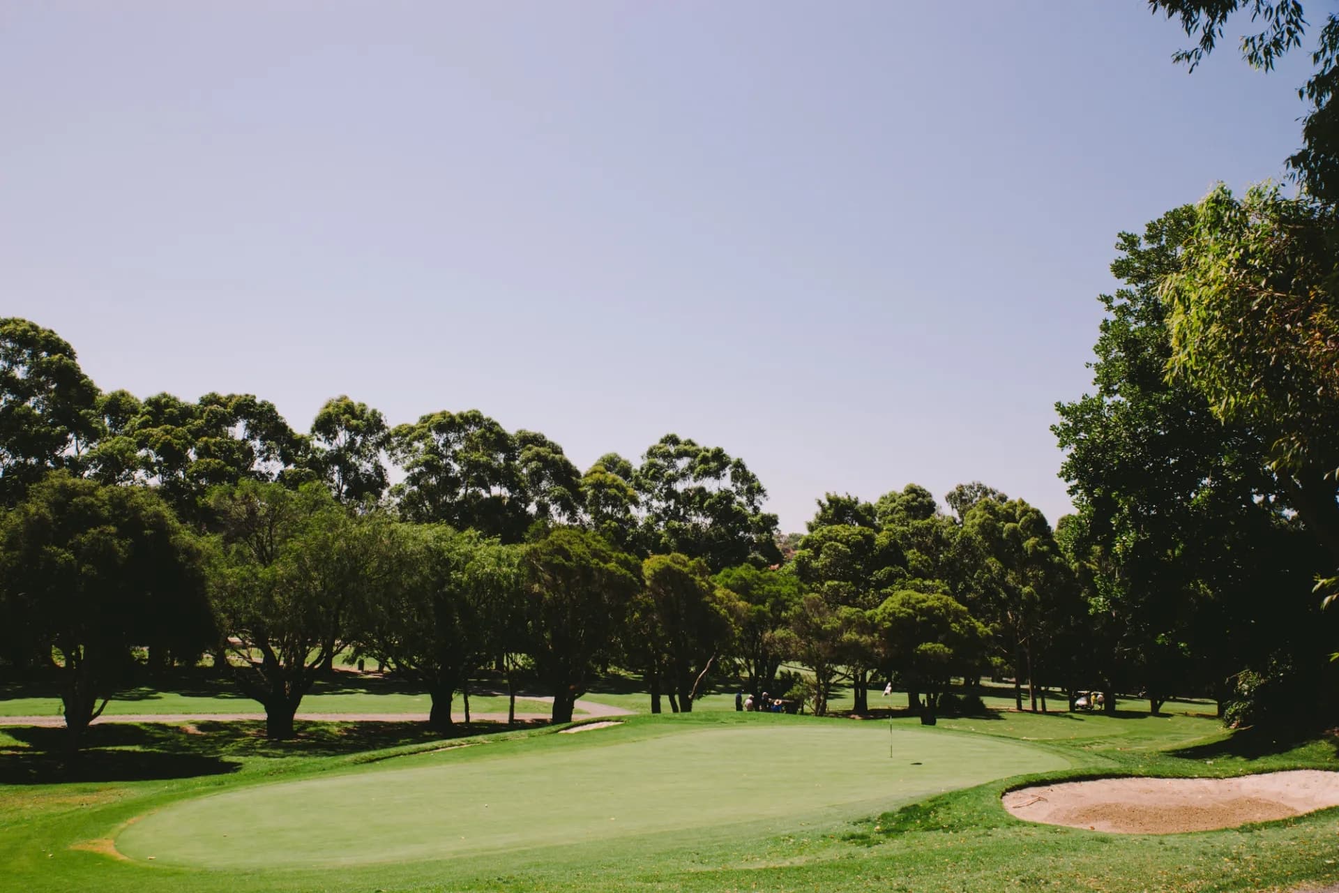 57 Booralie Road, Terrey Hills - Thumbnail 4