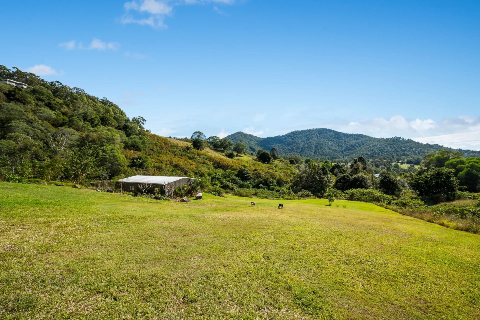 130 Morrison Road, Cedar Creek., Cedar Creek - Thumbnail 3