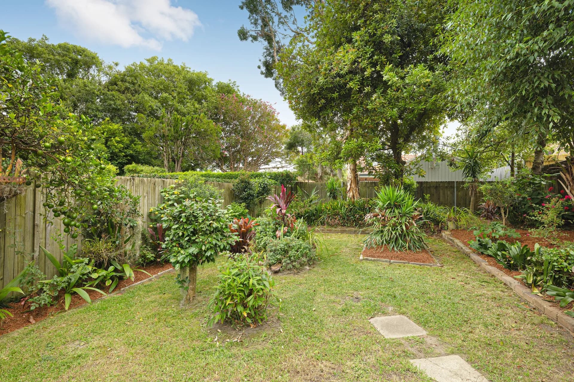 9 Moonbria Street, Naremburn., Naremburn - Thumbnail 5