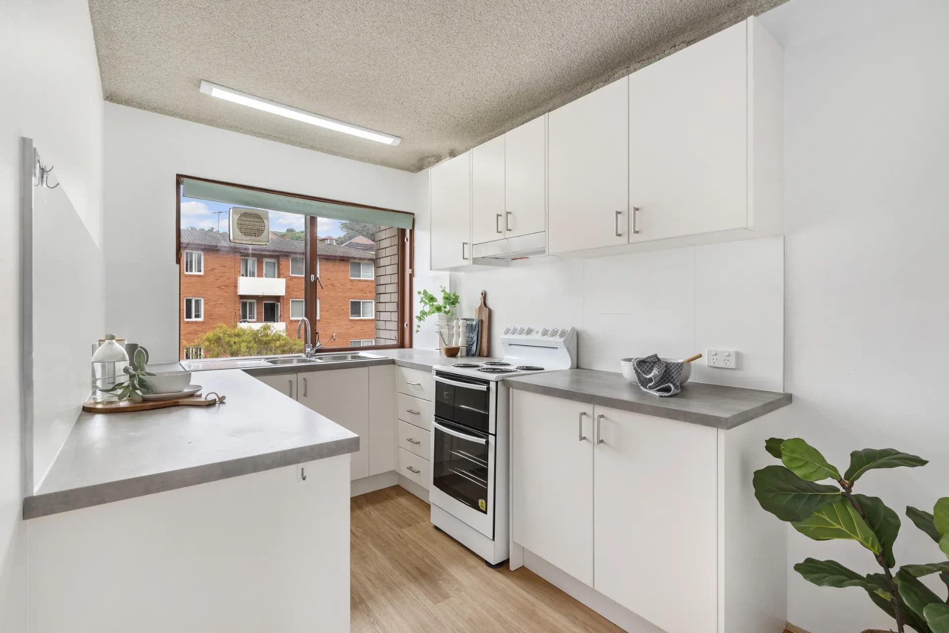 5/18 St Luke Street, Randwick., Randwick - Thumbnail 3