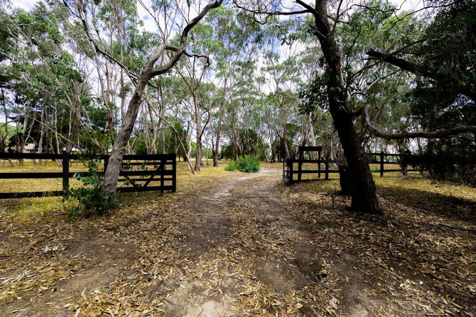 Lot 8 Snowgum Road, Dereel, Dereel - Thumbnail 5