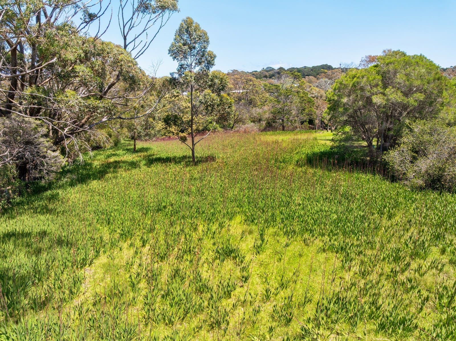 26 Rest Drive, Flinders, Flinders - Thumbnail 4