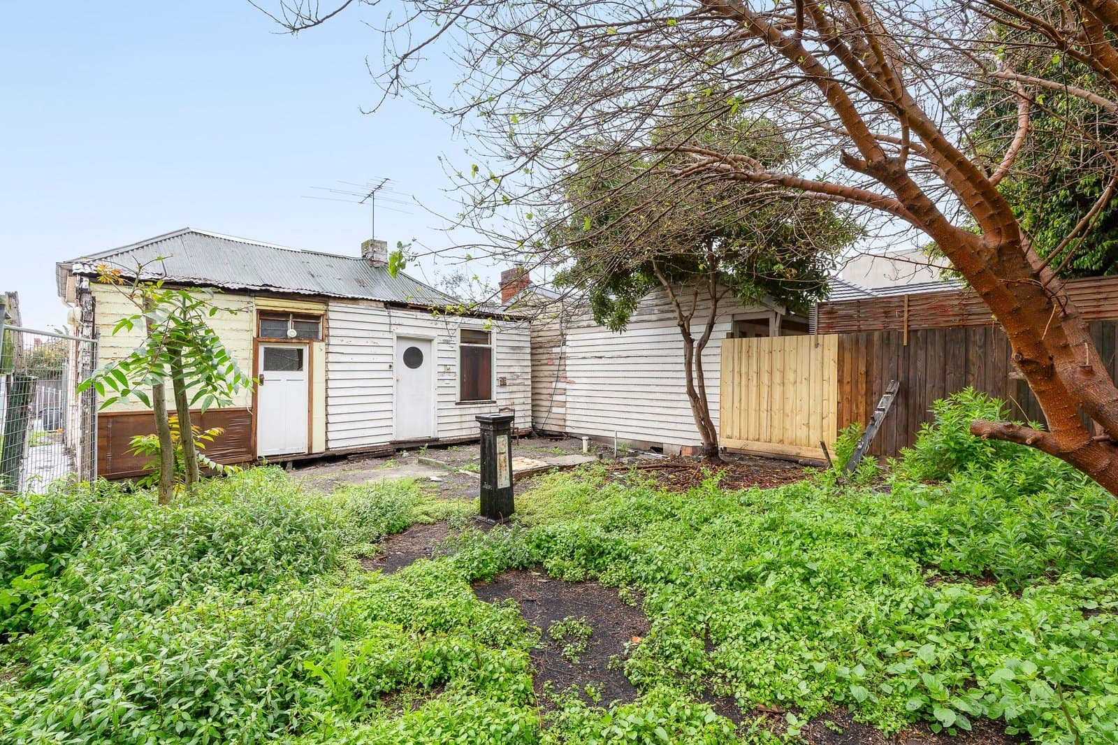 20 Prentice Street, St Kilda East, St Kilda East - Thumbnail 4
