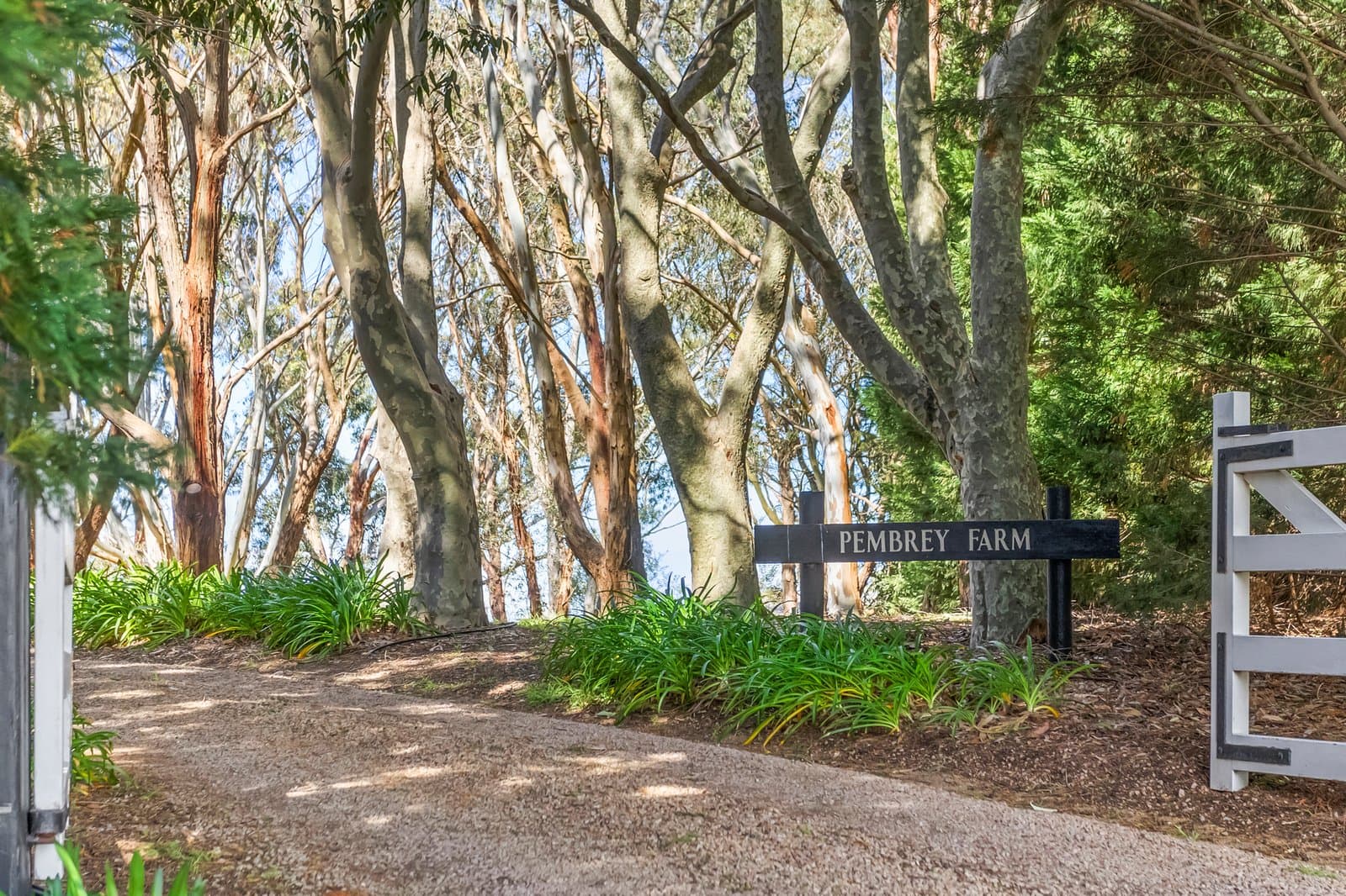 201 Old Cottontree Road, Flinders, Flinders - Image 1