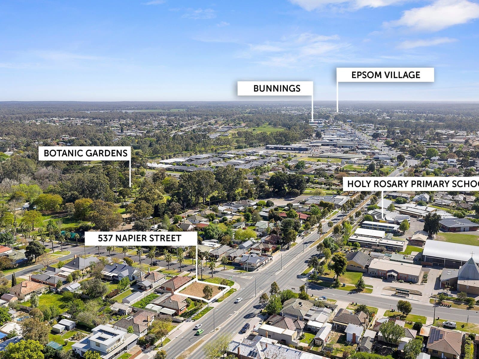 537 Napier Street, White Hills, White Hills - Thumbnail 5