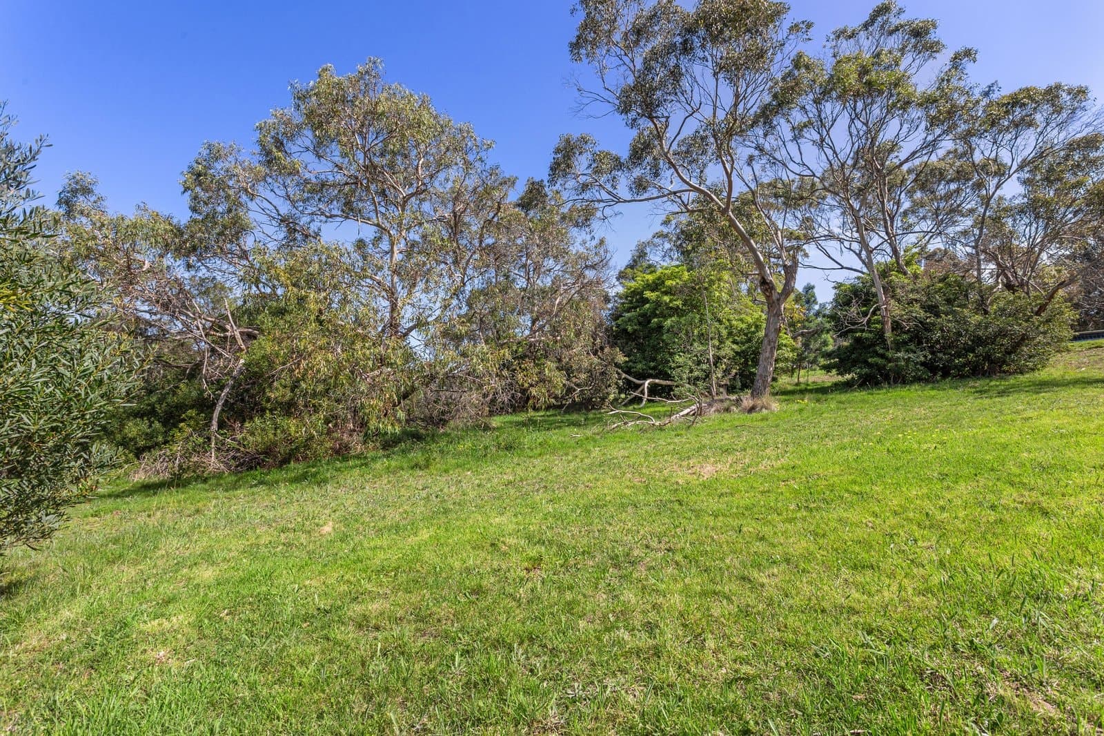 2 Koorooanda Court, Flinders, Flinders - Thumbnail 3