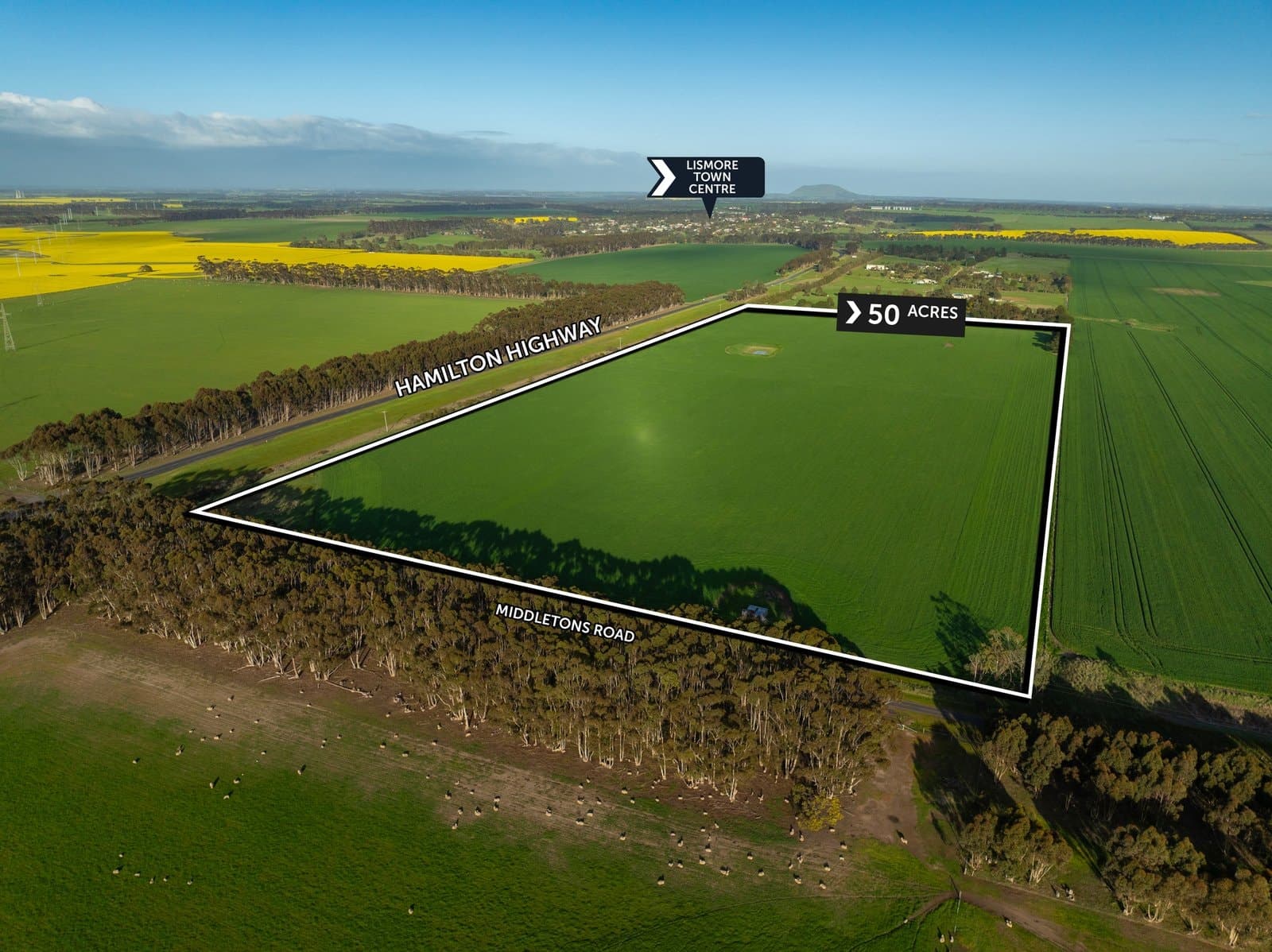 Crn Hamilton Highway &amp; Middletons Road, Lismore, Lismore - Thumbnail 2