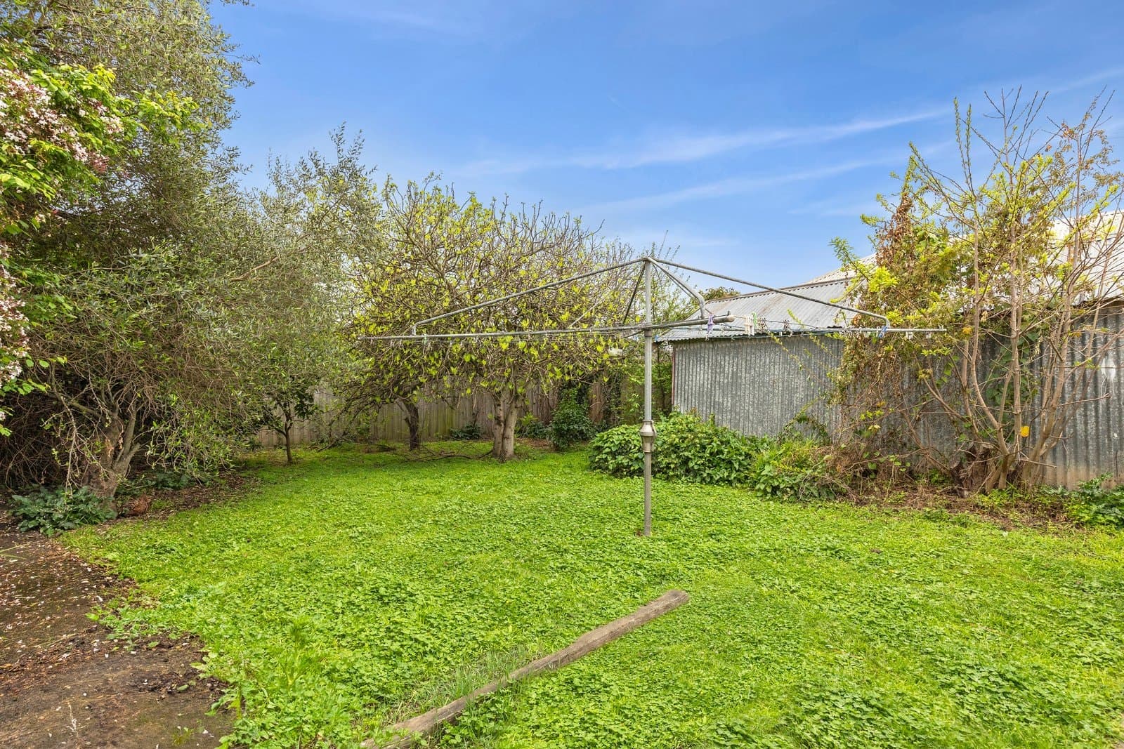 124 Clarence Street, Geelong West, Geelong West - Thumbnail 8