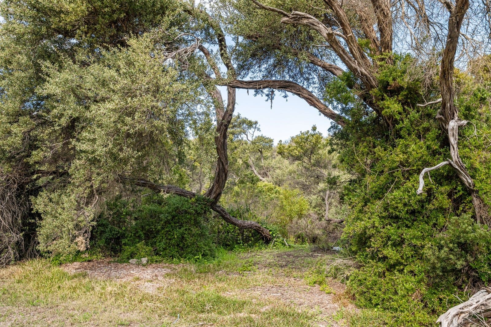 213-217 Bass Meadows Boulevard, St Andrews Beach, St Andrews Beach - Thumbnail 7