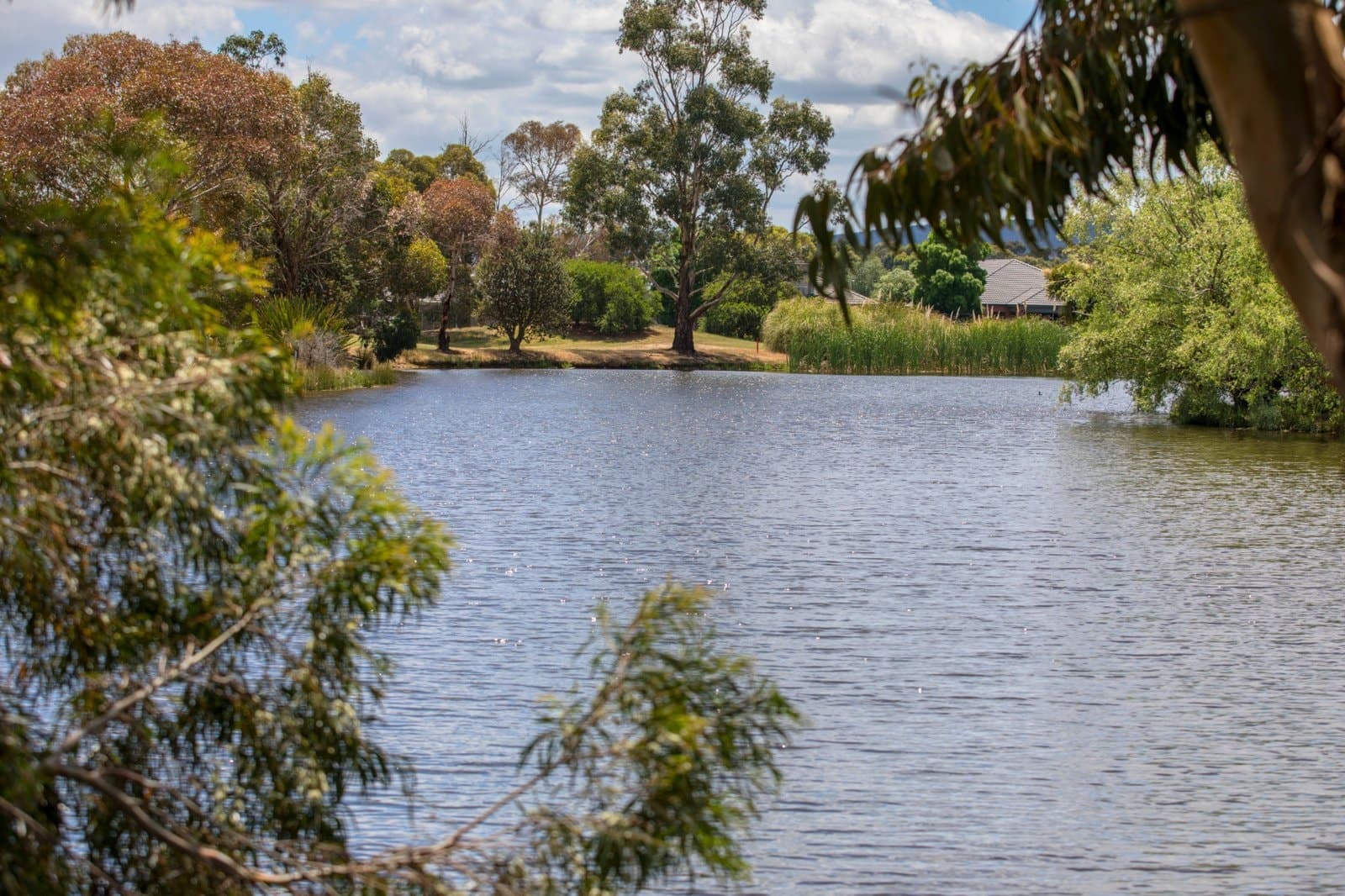 Lot Drew's Paddock Lot 410 Divot Circuit, Invermay Park, Invermay Park - Thumbnail 4