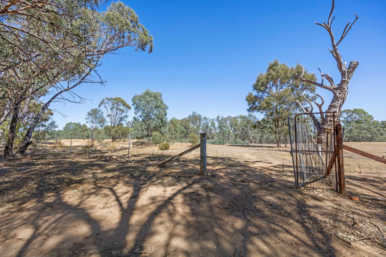 Lots 1 &amp; 2 Quinns Road, Wellsford, Wellsford - Thumbnail 3