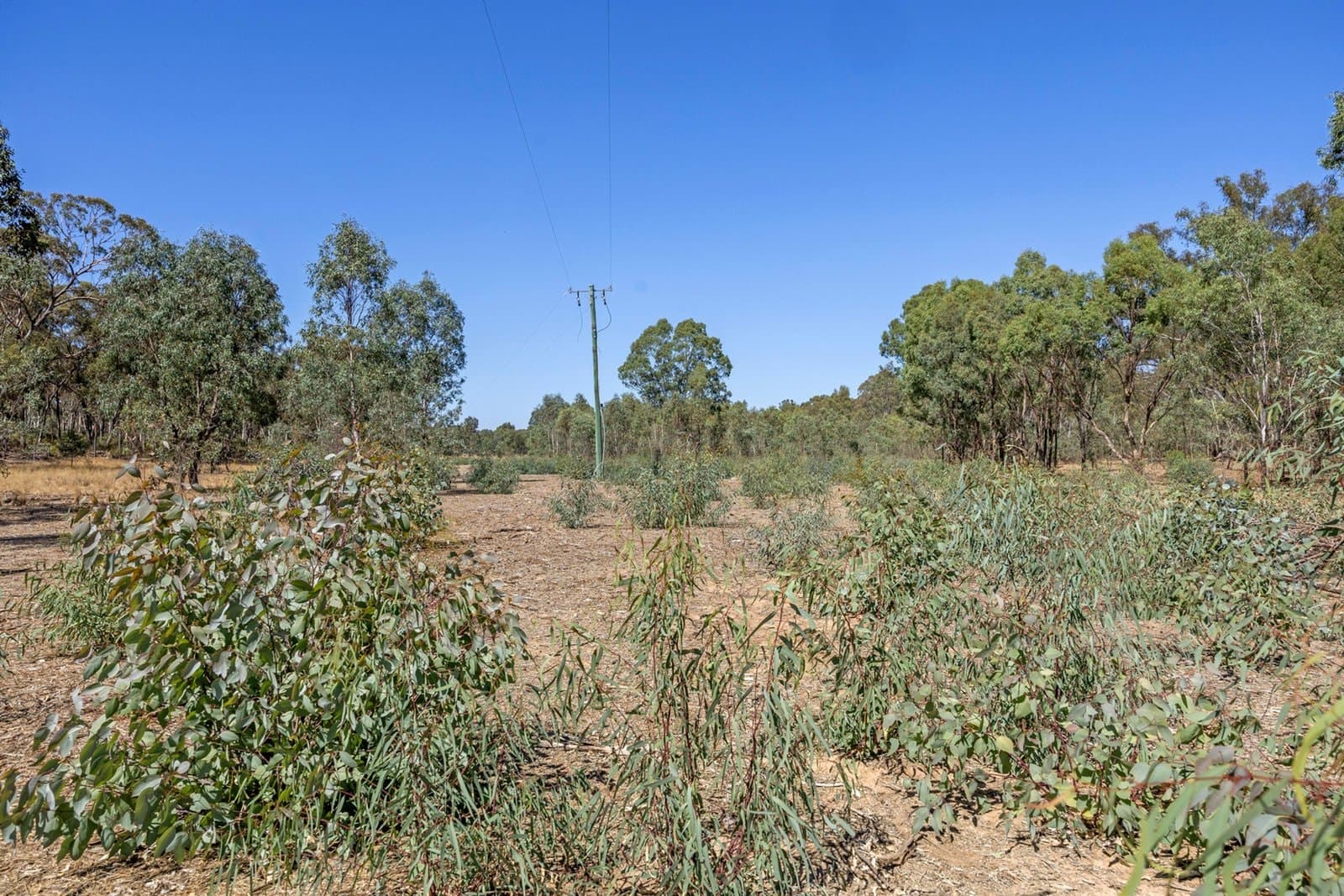 Lots 1 &amp; 2 Quinns Road, Wellsford, Wellsford - Thumbnail 5