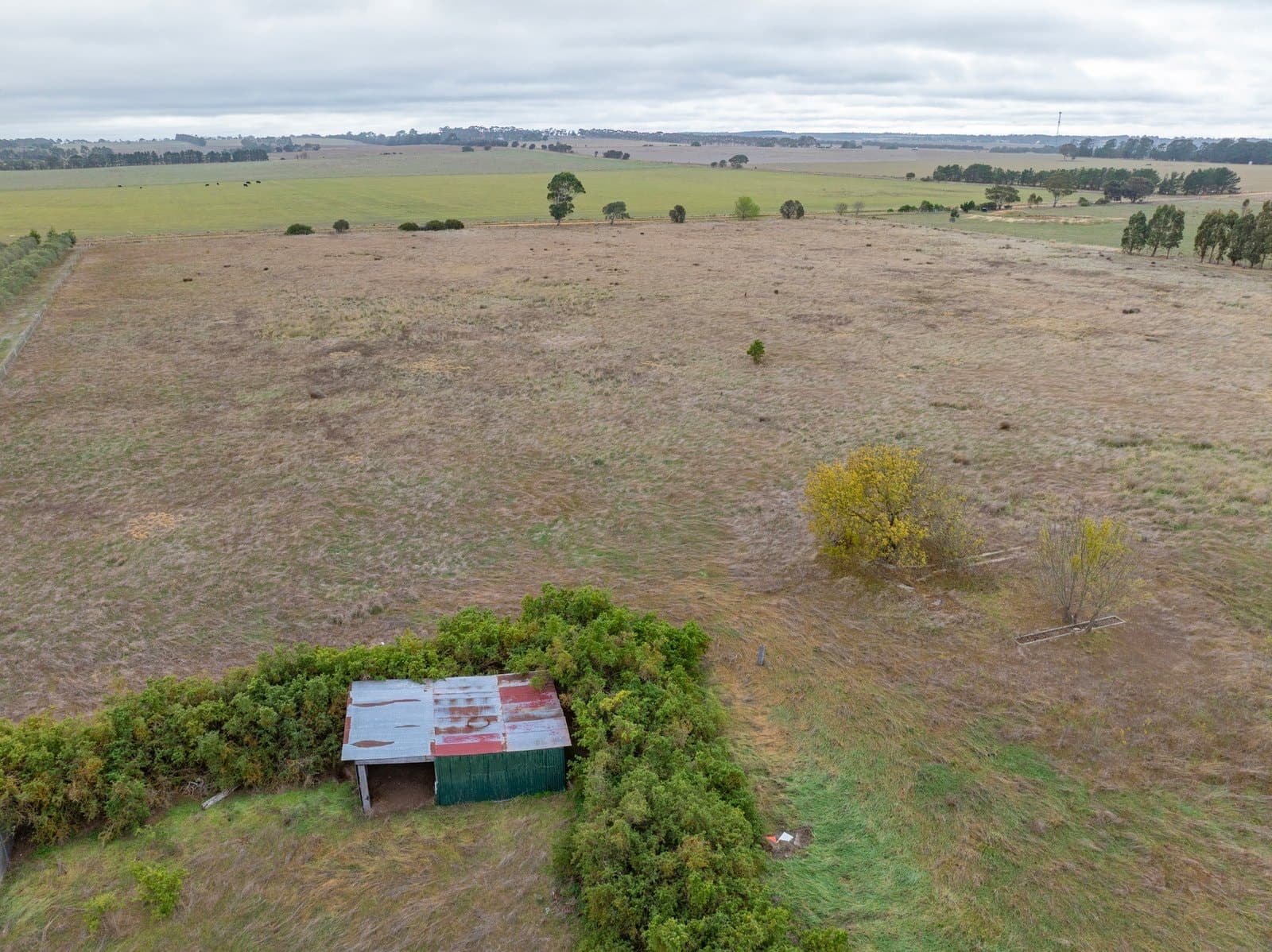 49 Rokewood-Skipton Road, Rokewood, Rokewood - Thumbnail 3